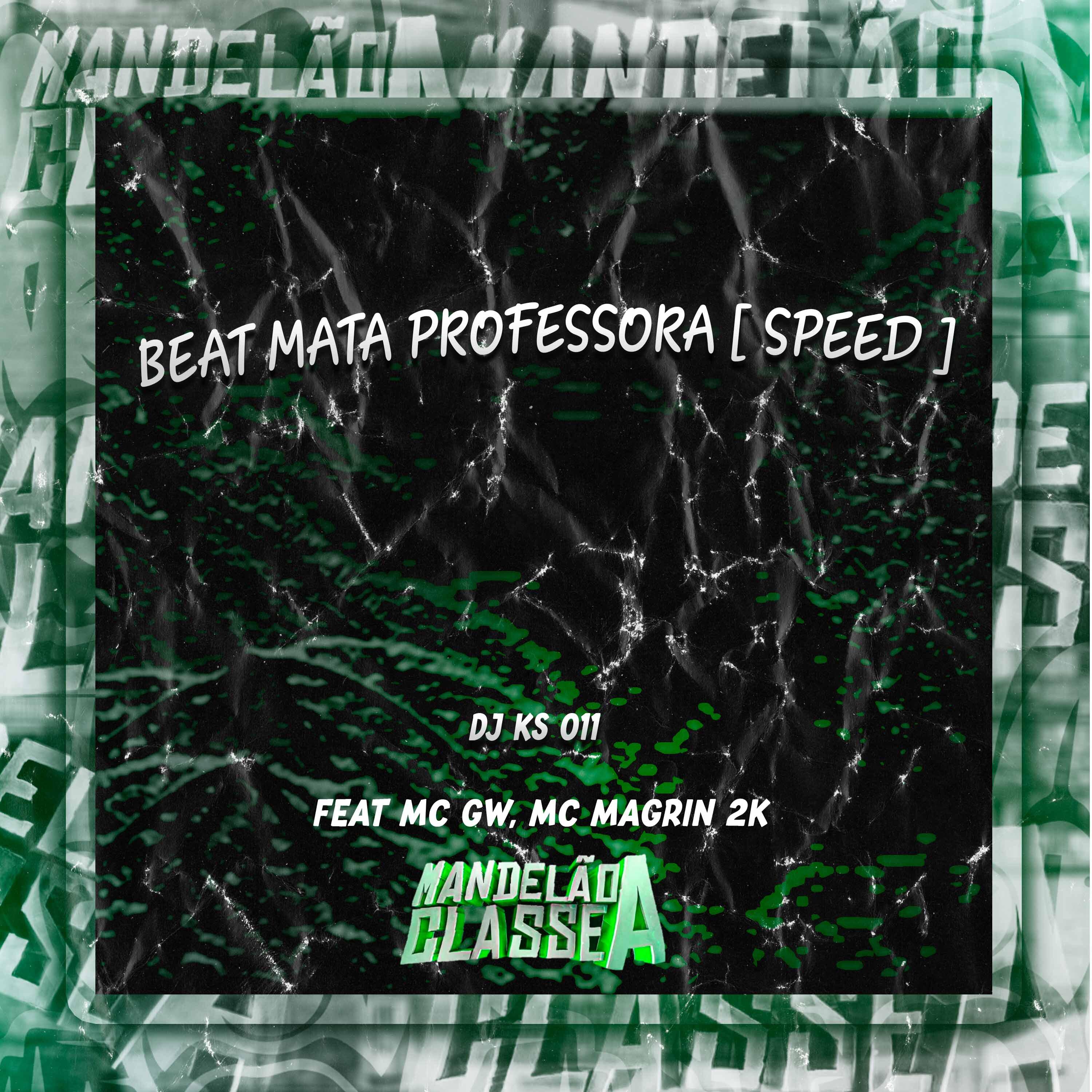 Постер альбома Beat Mata Professora (Speed)
