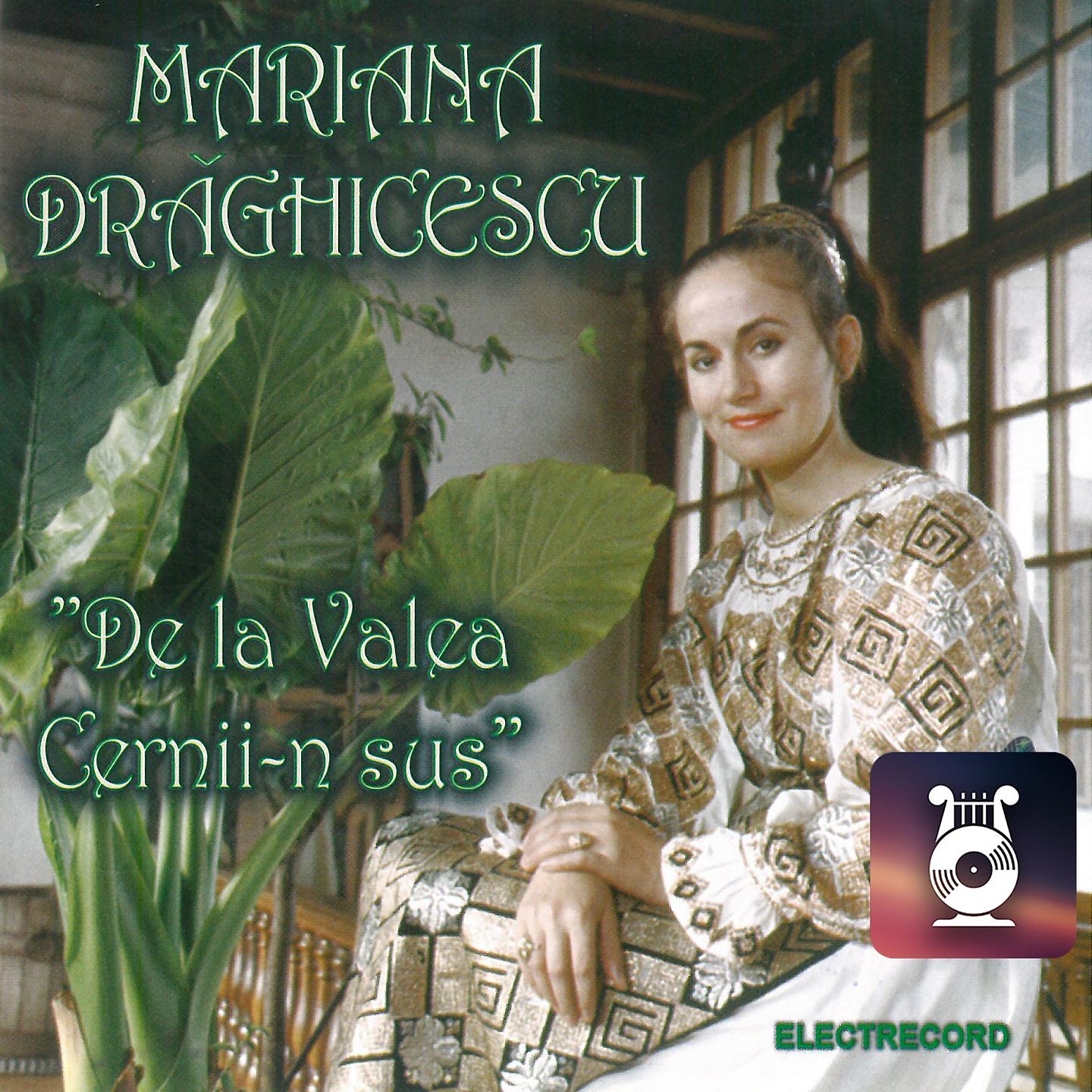 Постер альбома De La Valea Cernii-N Sus