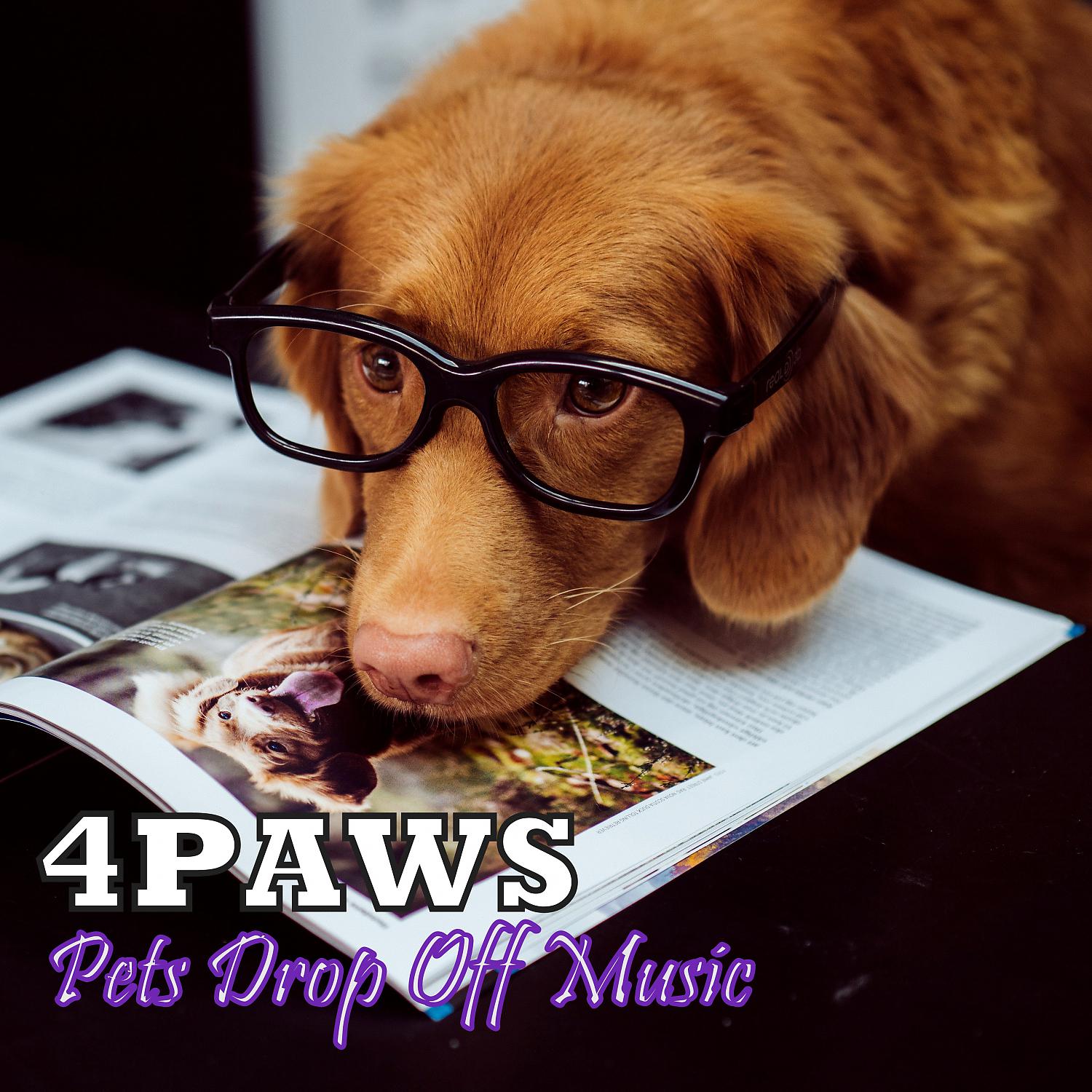 Постер альбома 4PAWS: Pets Drop Off Music
