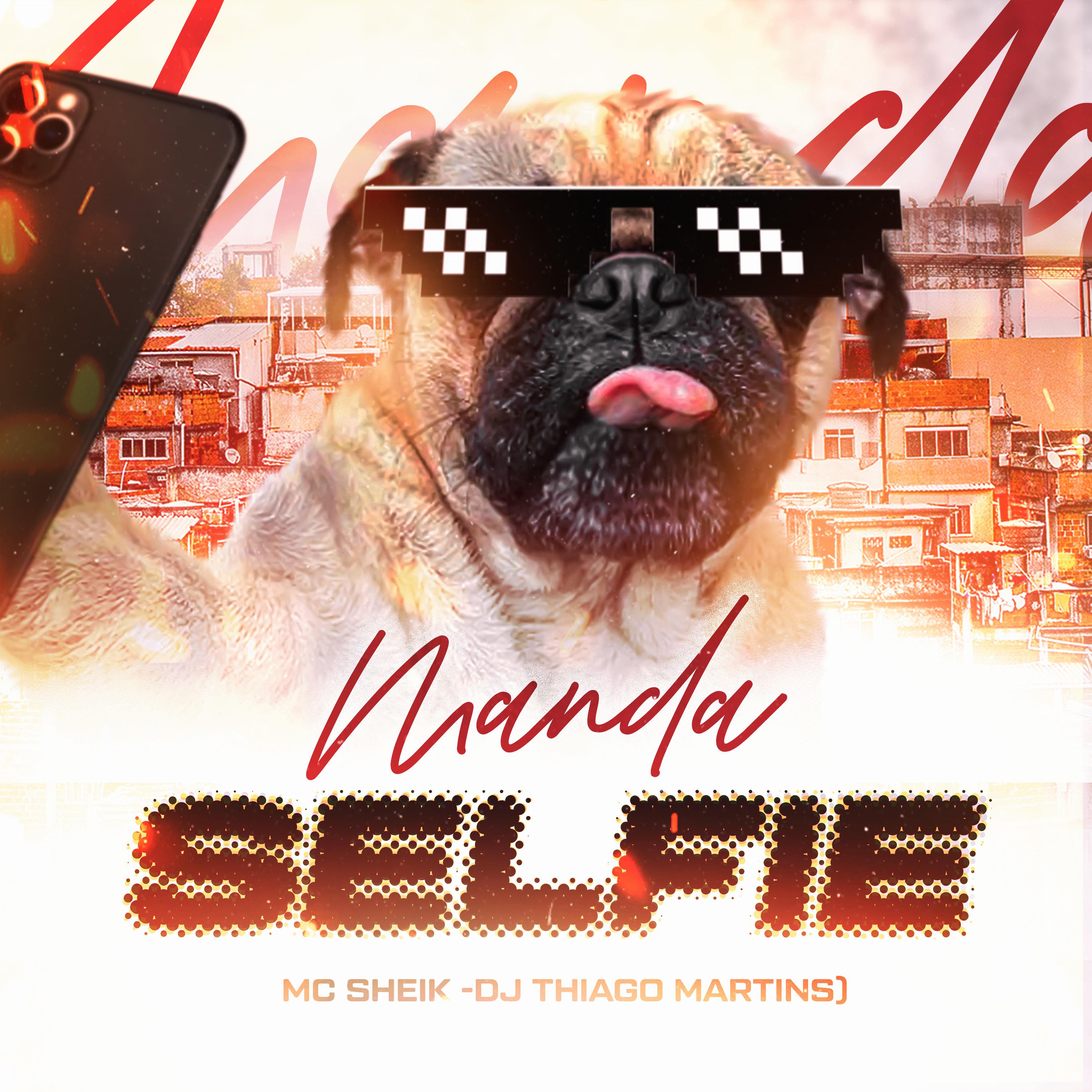 Постер альбома Mandar Selfie