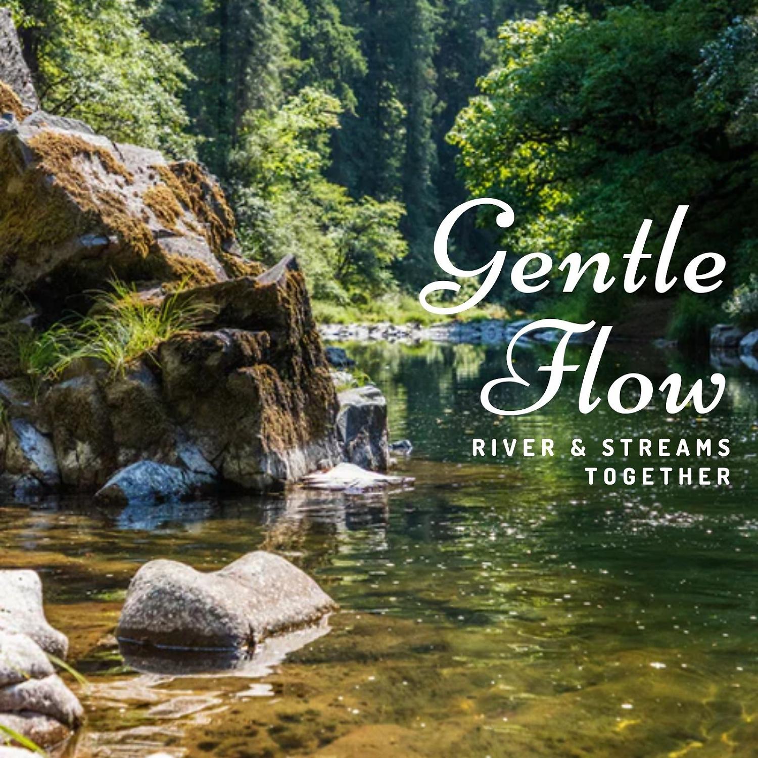 Постер альбома Gentle Flow: River & Streams Together
