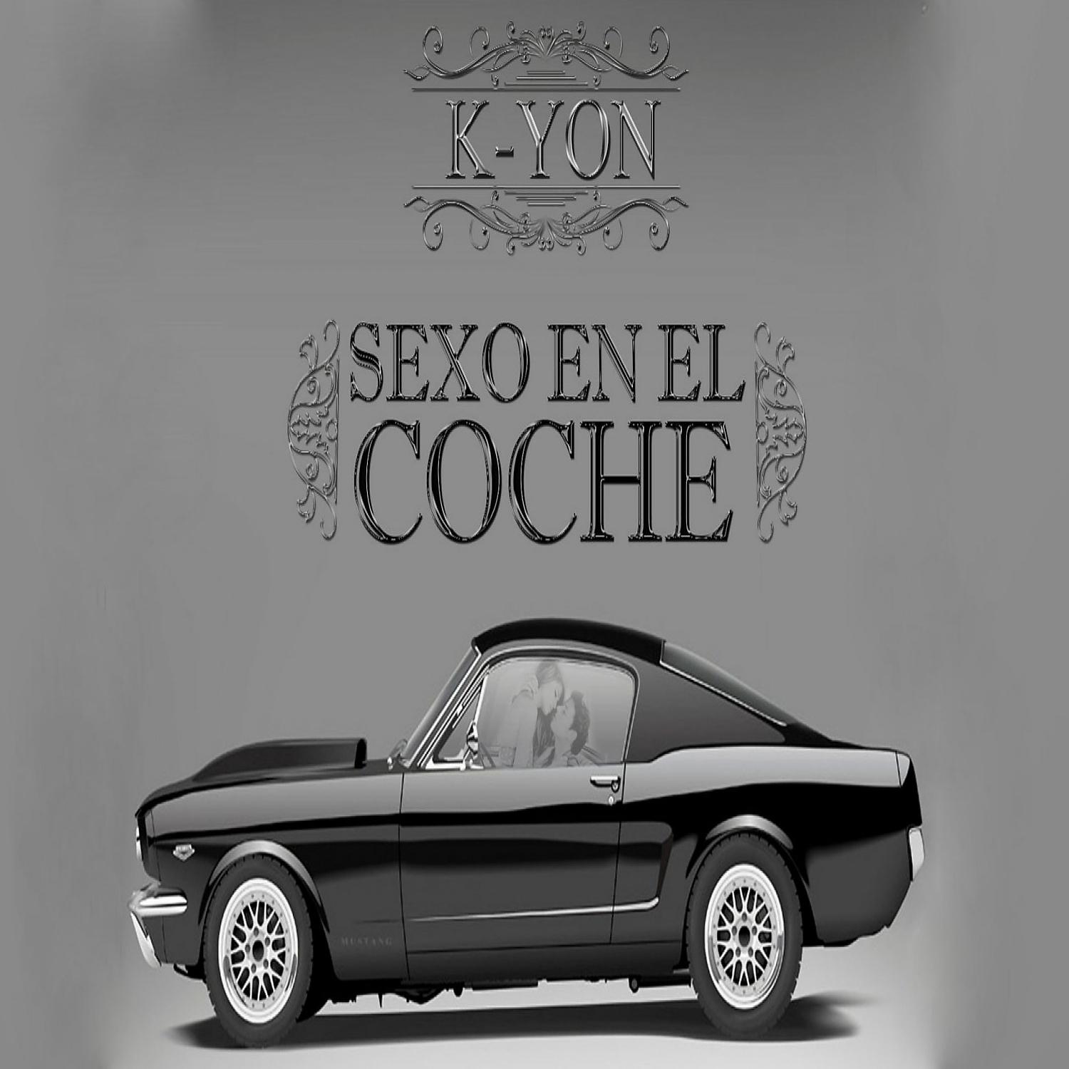 Постер альбома Sexo En El Coche - Single