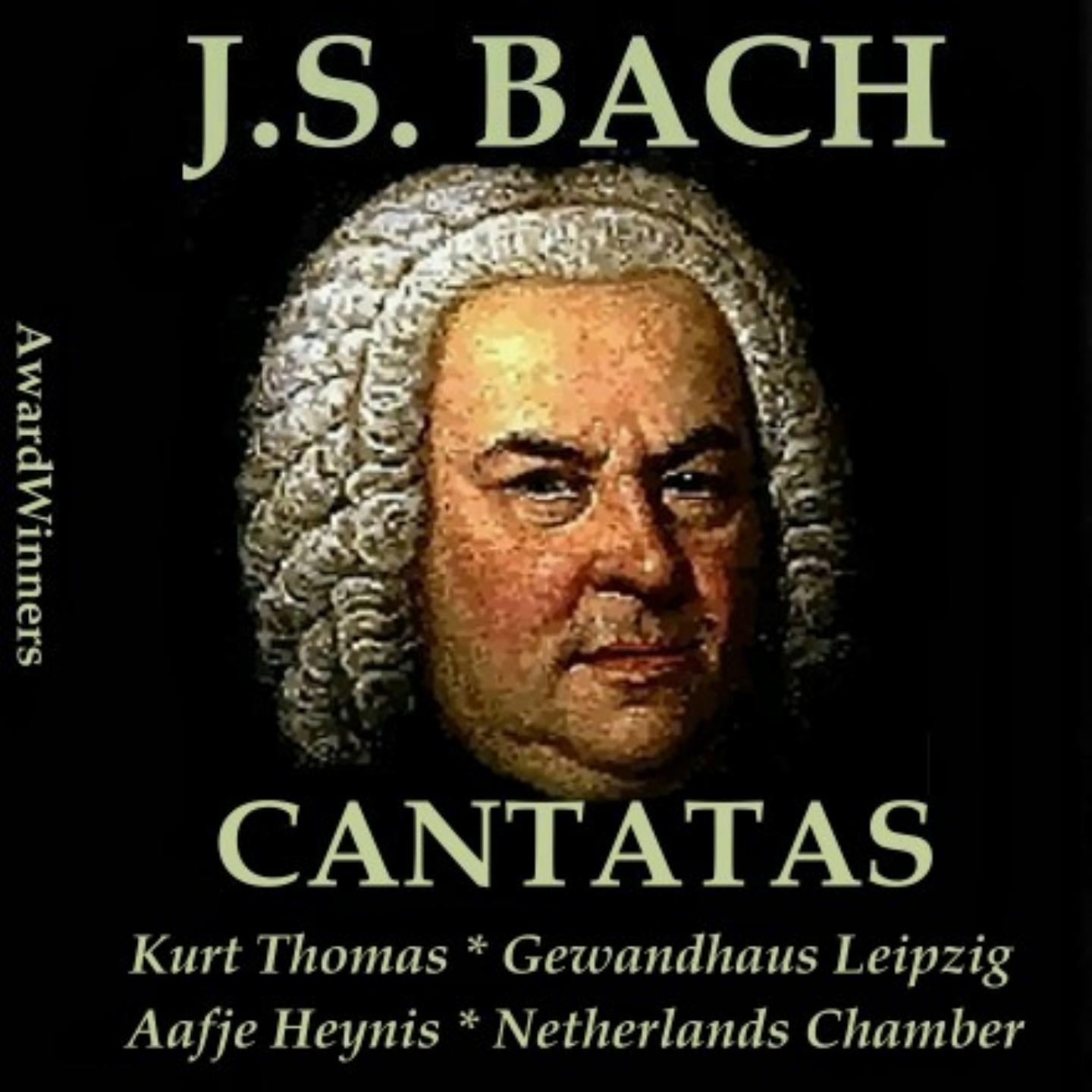 Постер альбома Bach, Vol. 05 : Cantatas