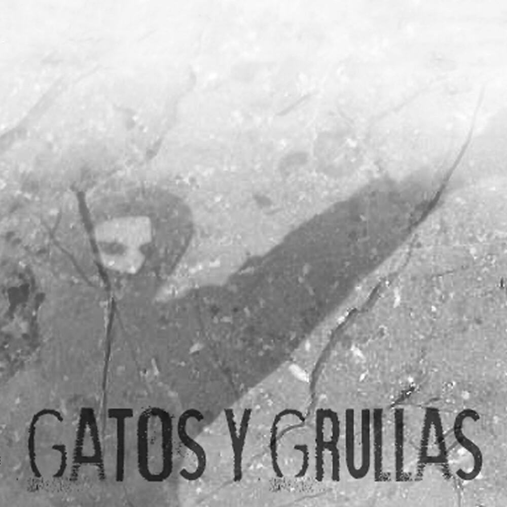 Постер альбома Gatos y Grullas
