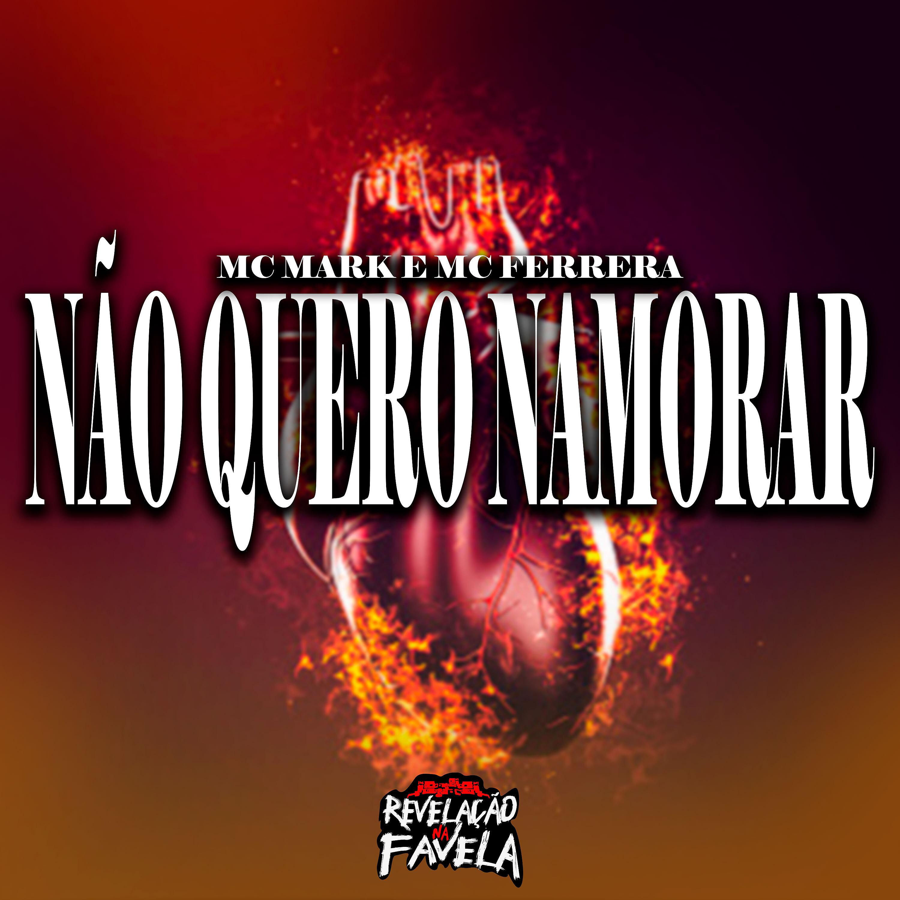 Постер альбома Não Quero Namorar