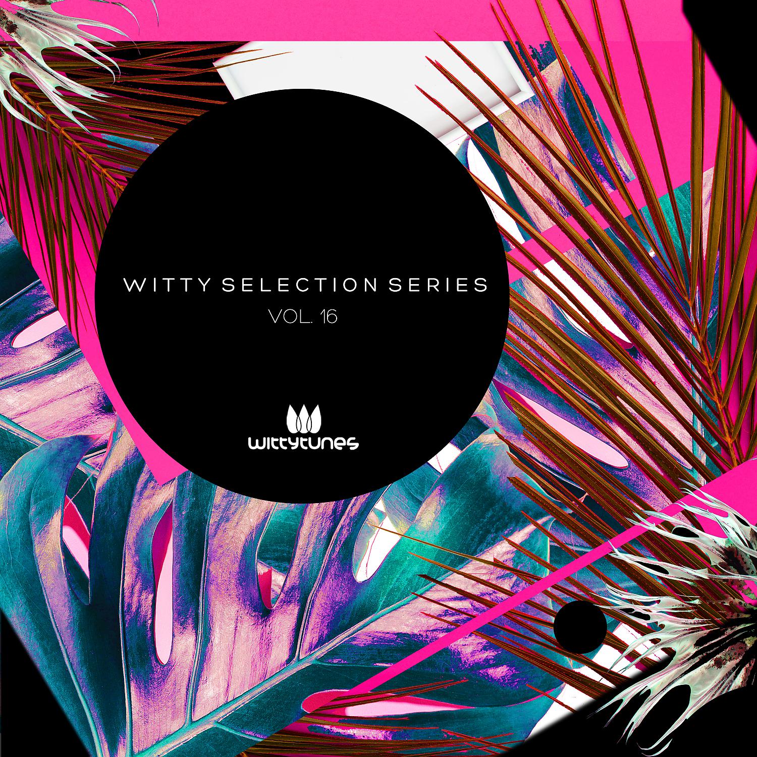 Постер альбома Witty Selection Series, Vol. 16