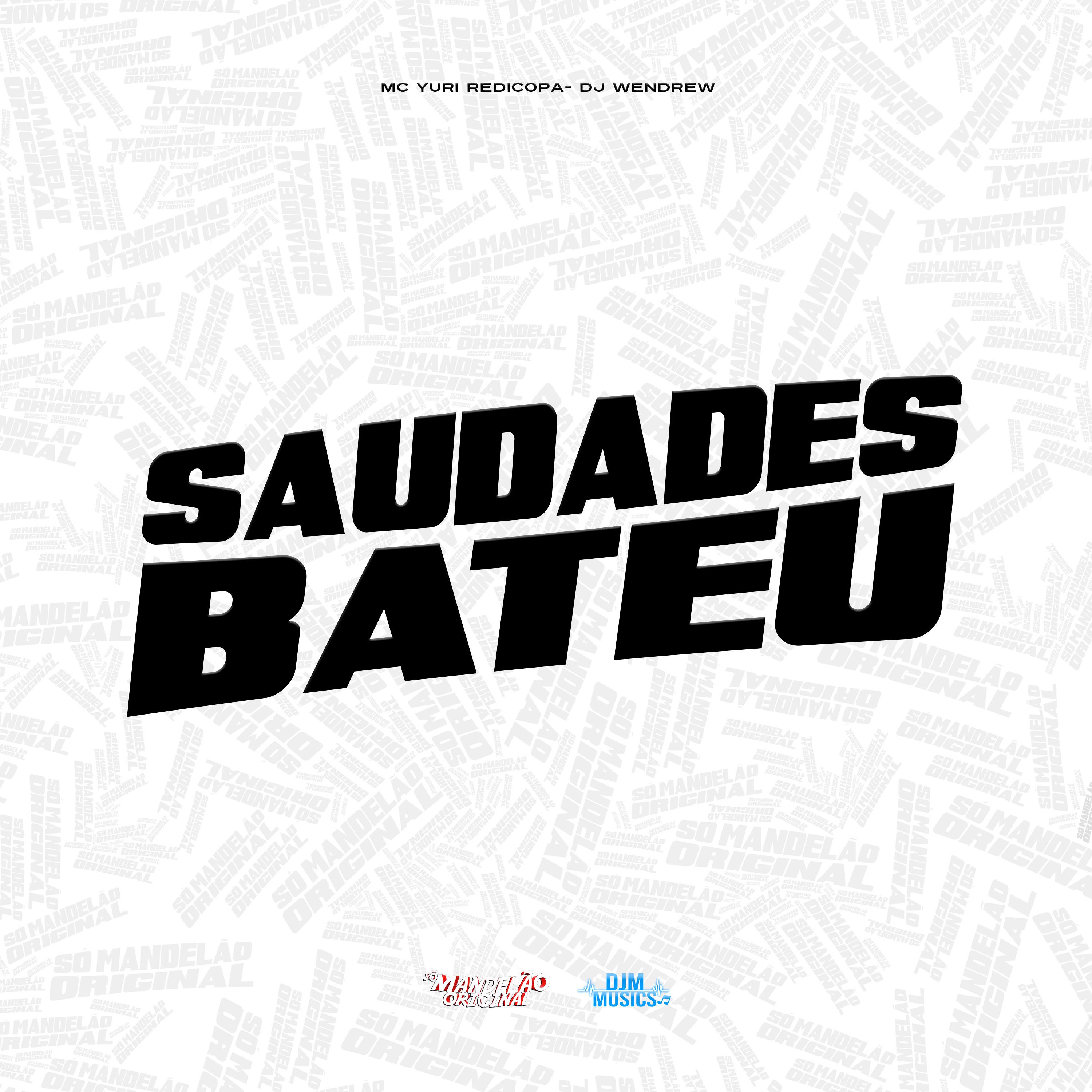 Постер альбома Saudades Bateu