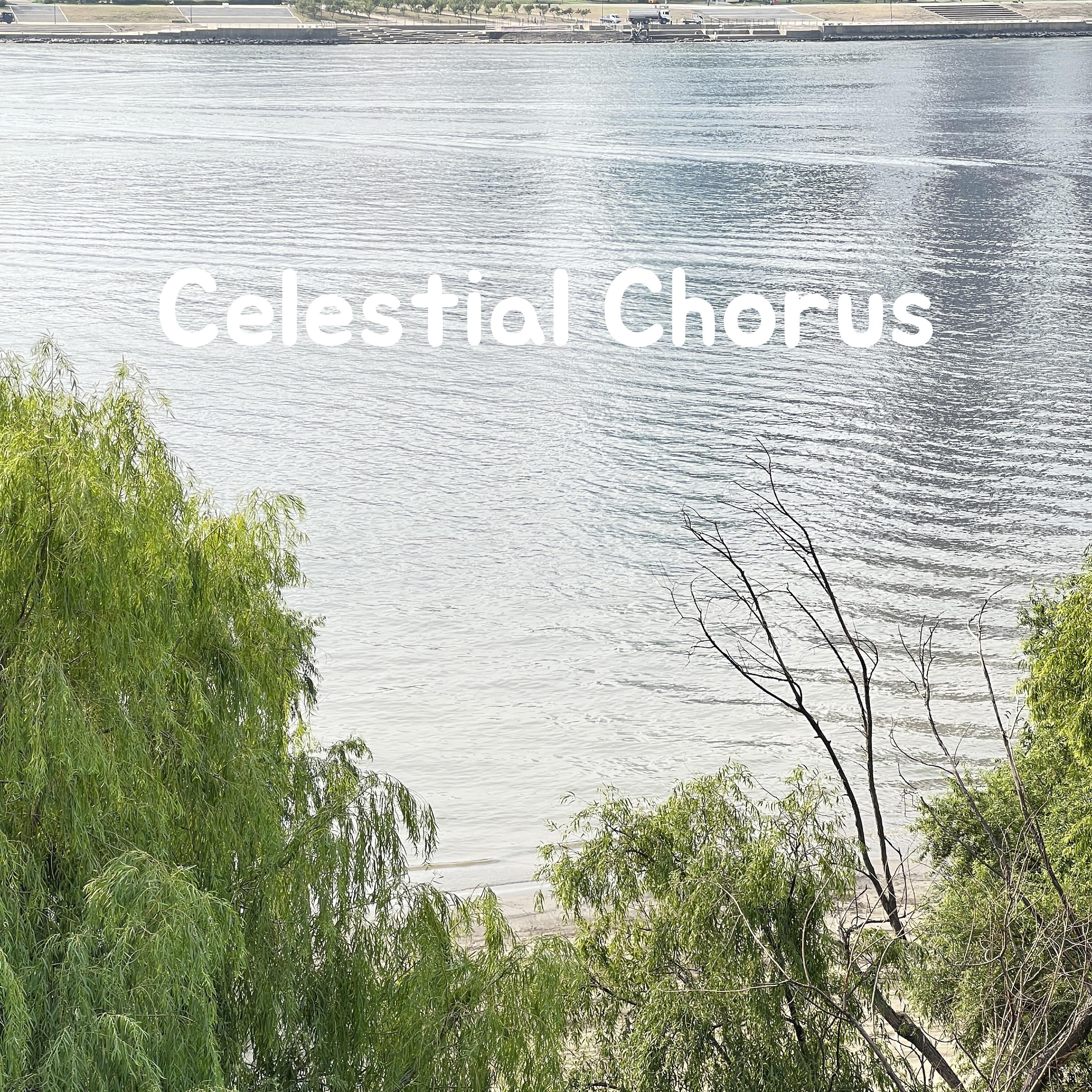 Постер альбома Celestial Chorus