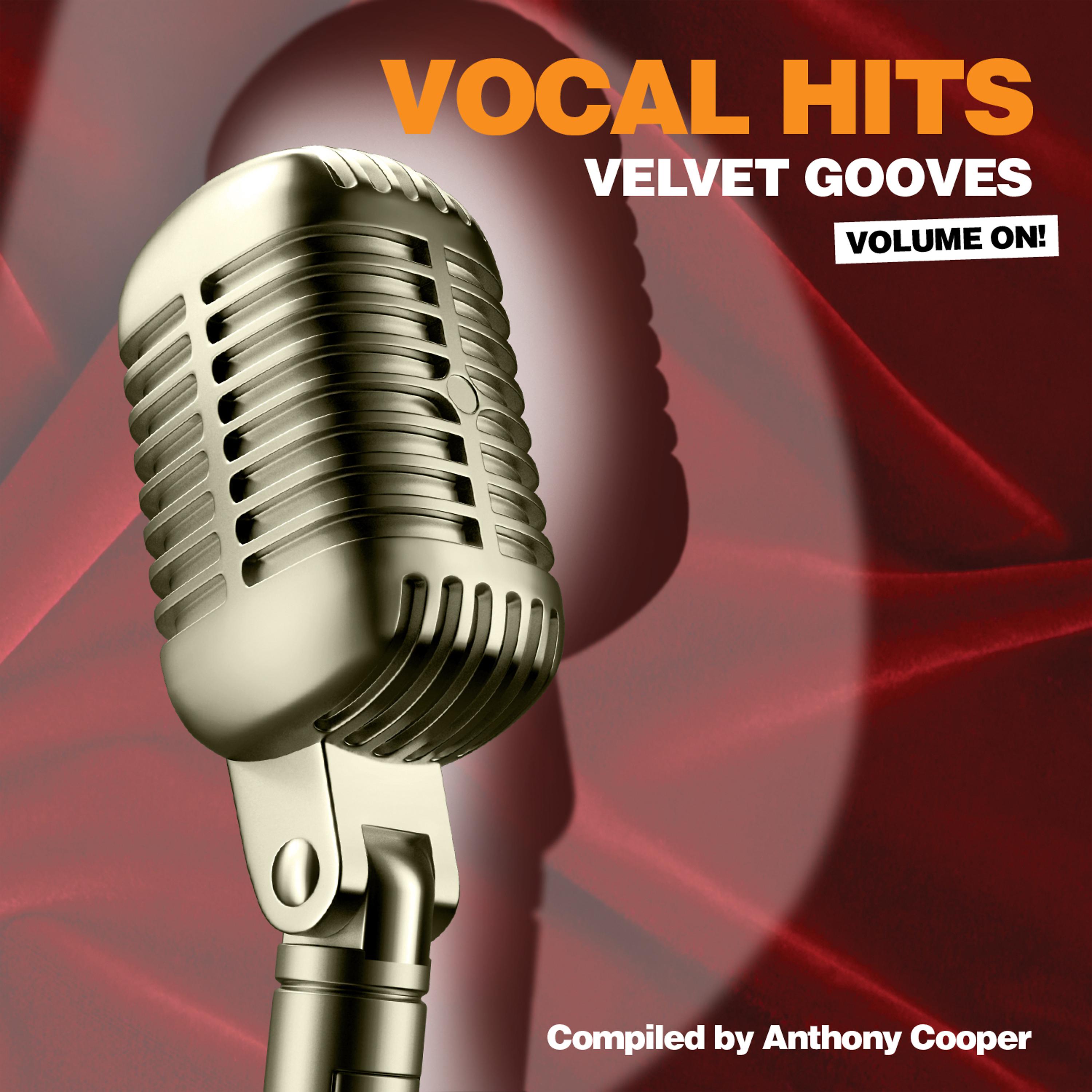 Постер альбома Vocal Hits Velvet Grooves Volume On!