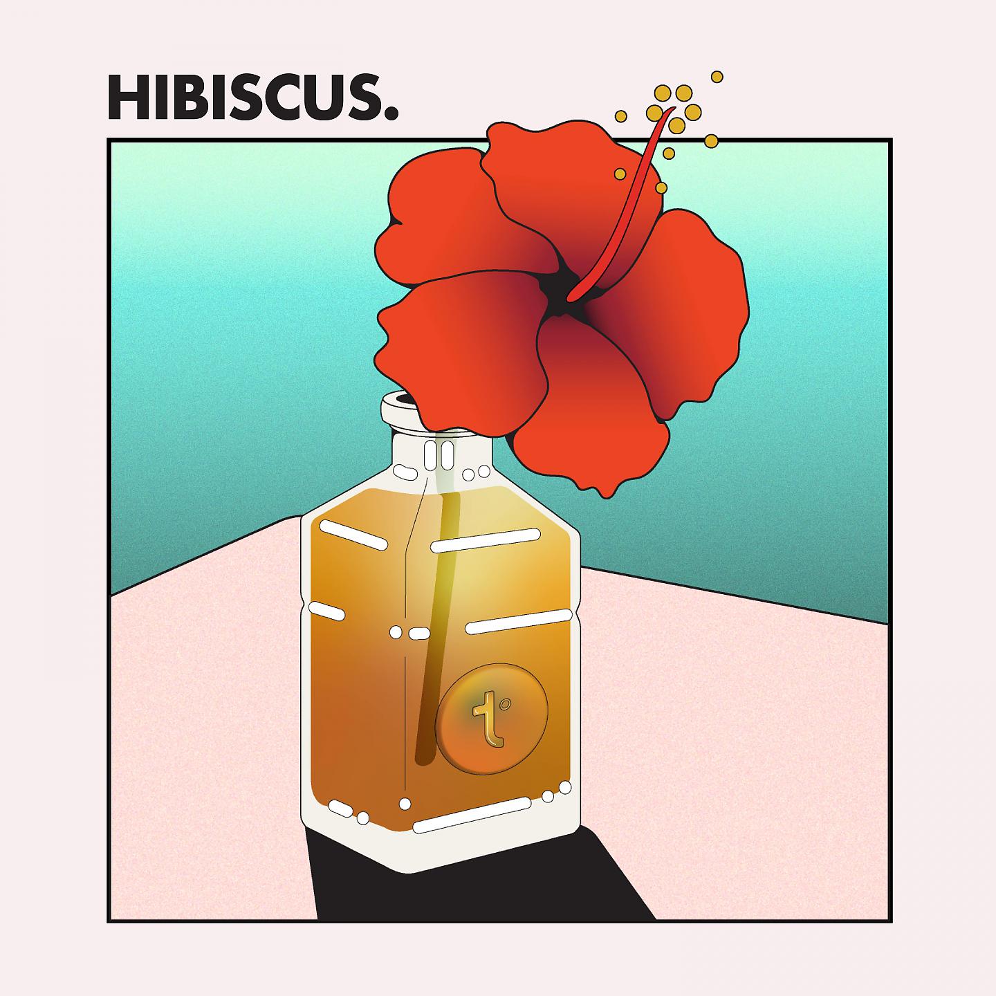 Постер альбома HIBISCUS