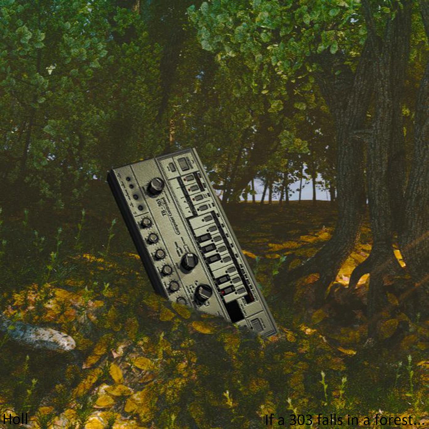 Постер альбома If a 303 Falls in a Forest....