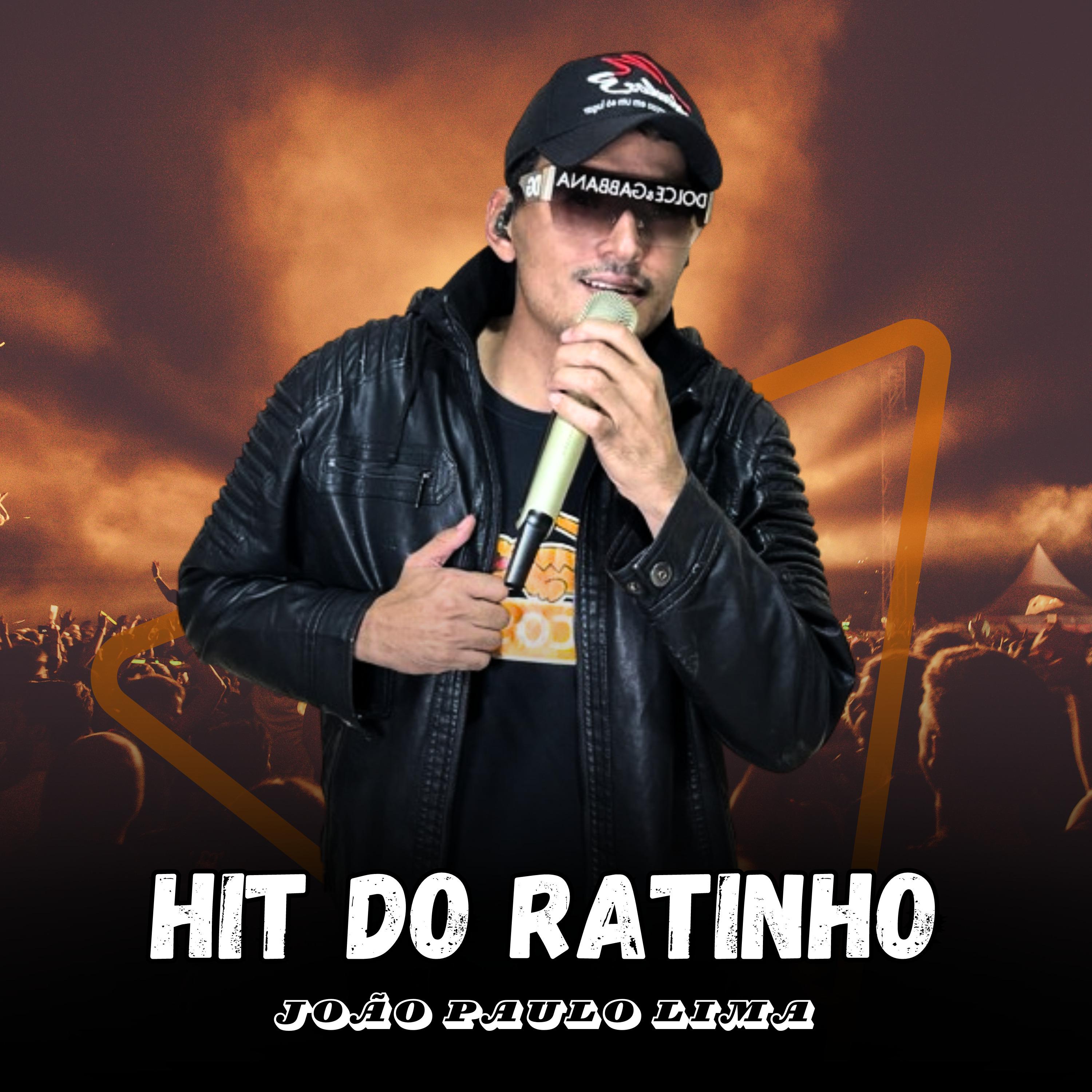 Постер альбома Hit do Ratinho