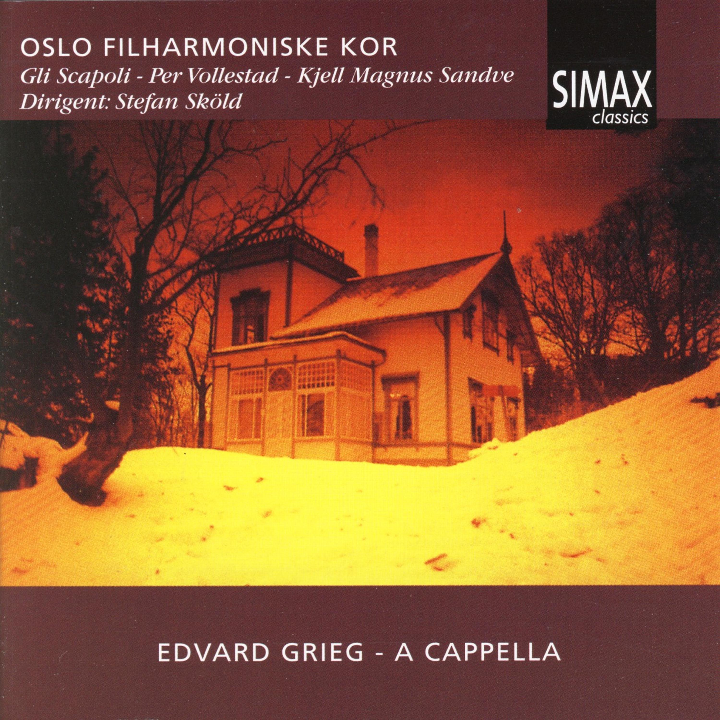 Постер альбома Edvard Grieg a Capella