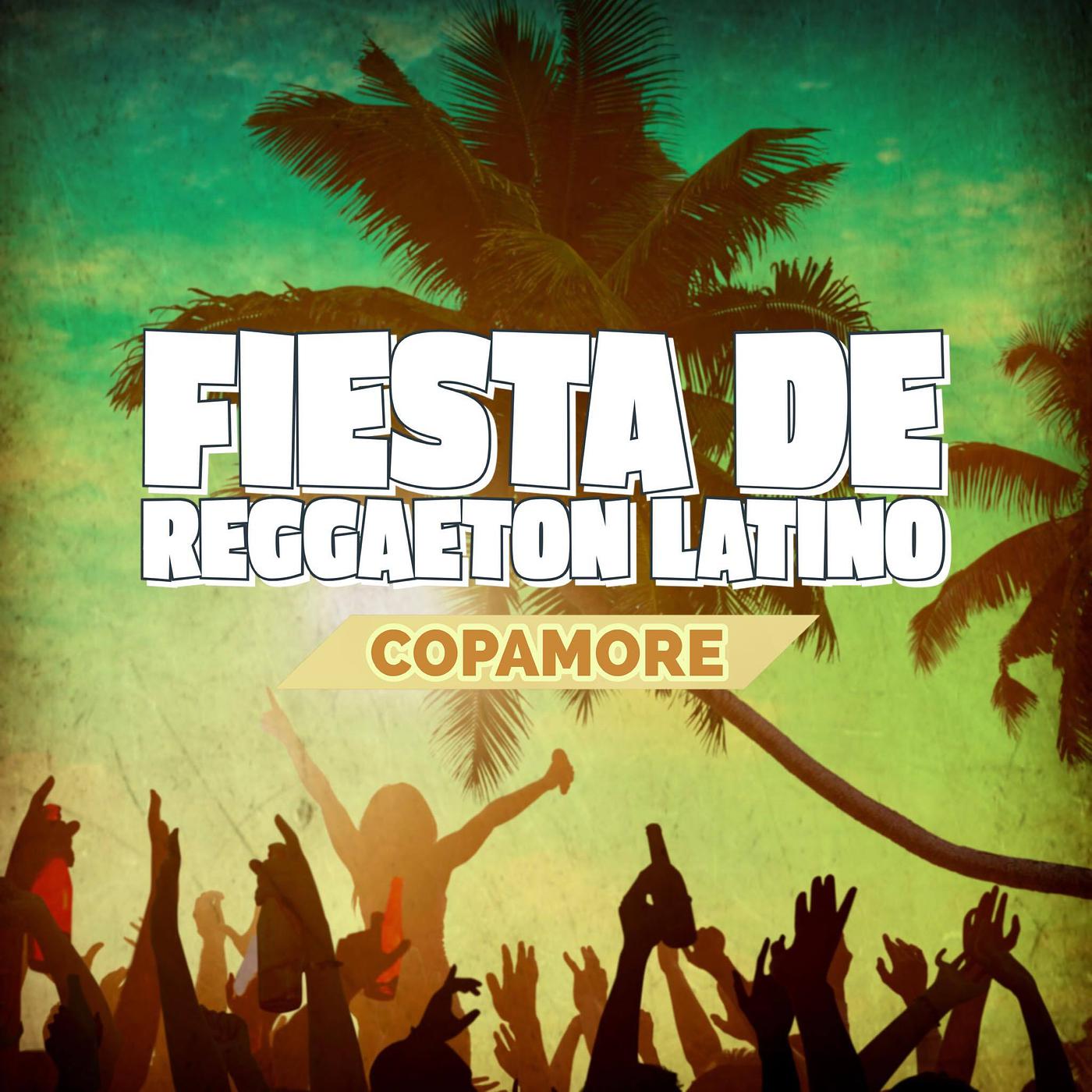 Постер альбома Fiesta De Reggaeton Latino