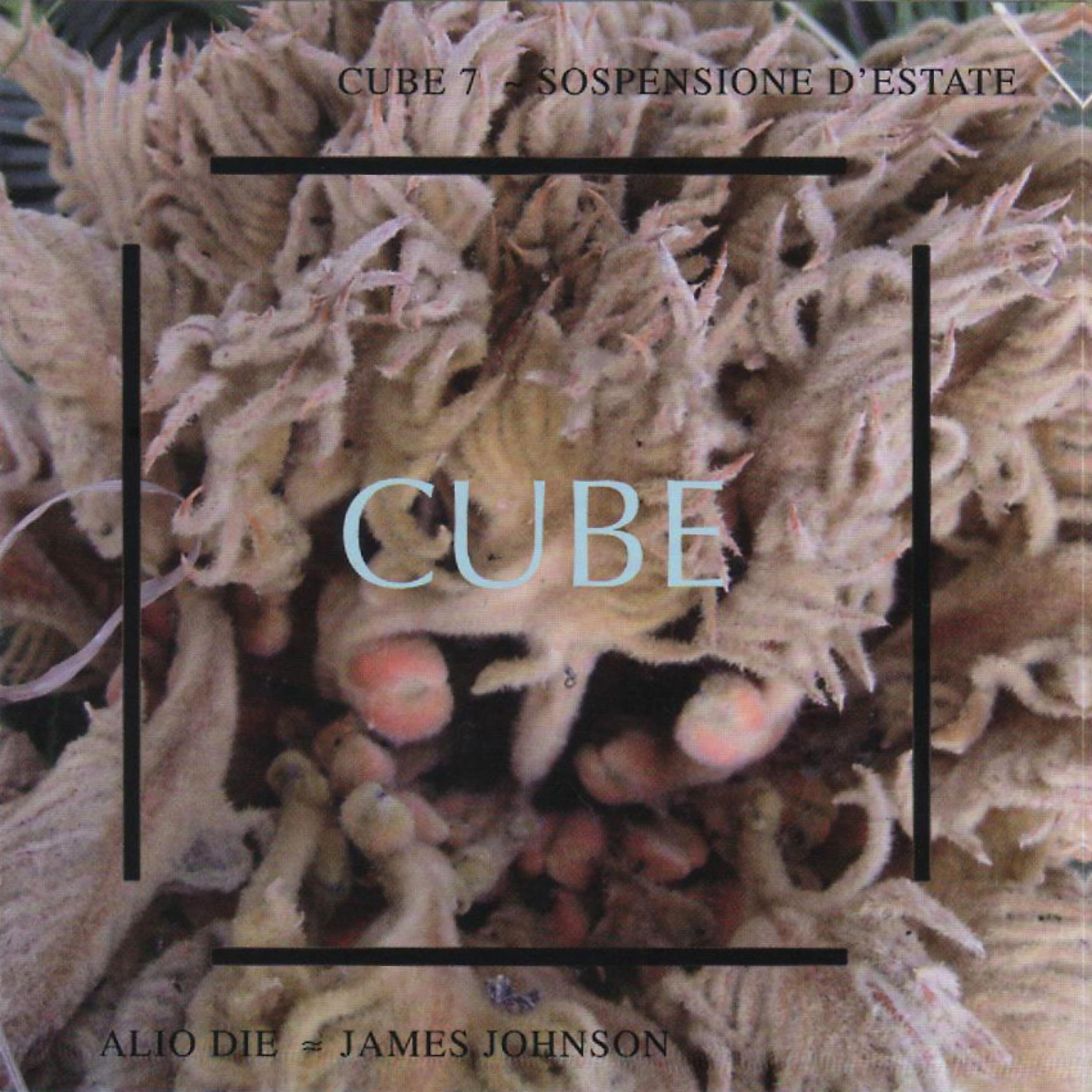 Постер альбома Cube 7 - Sospensione D'estate