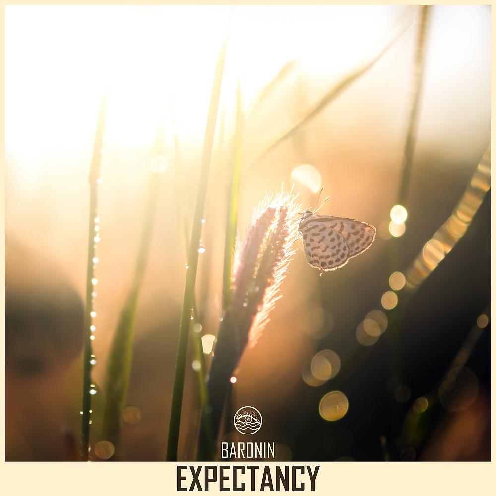 Постер альбома Expectancy