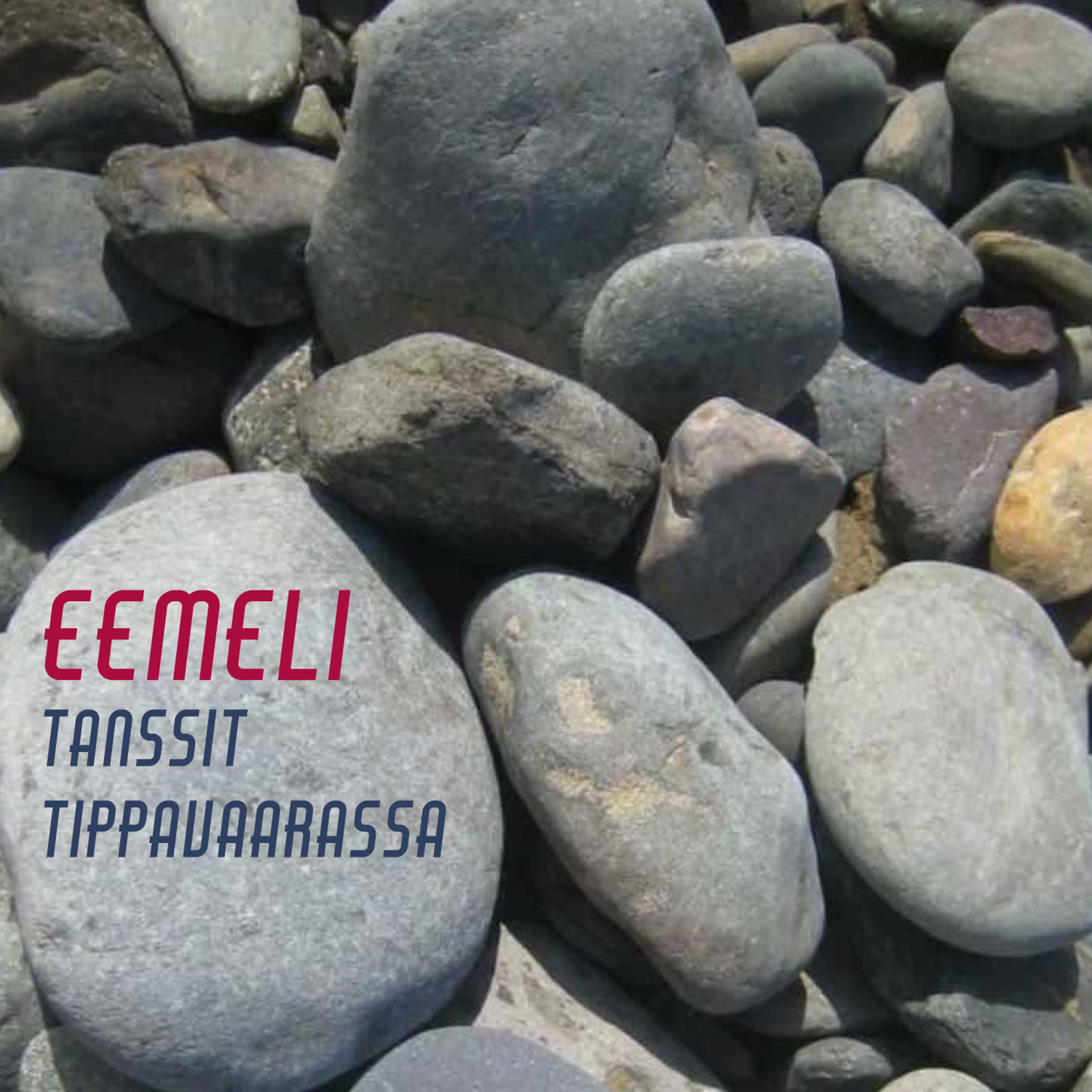 Постер альбома Tanssit Tippavaarassa