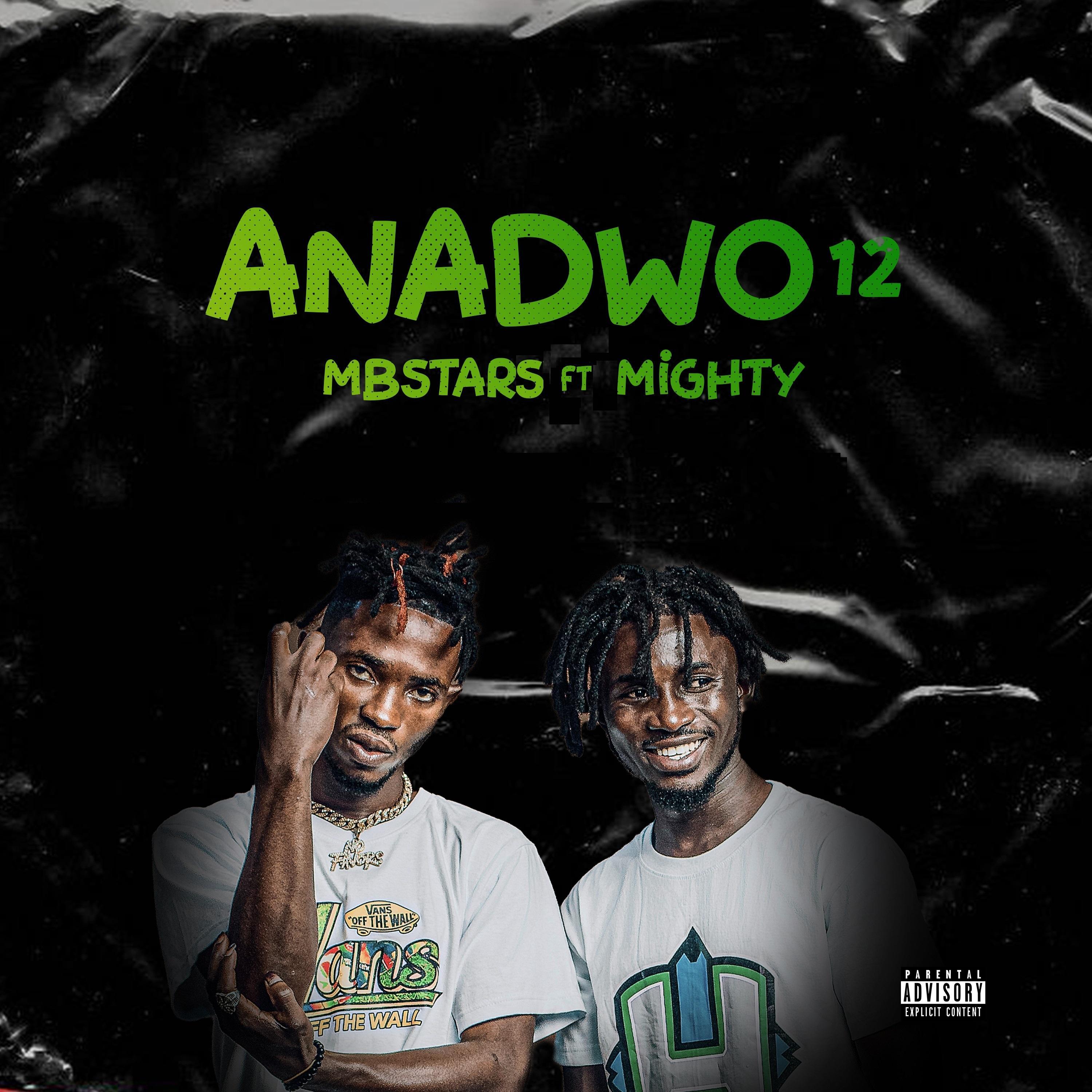 Постер альбома Anadwo 12 (feat. Mighty)