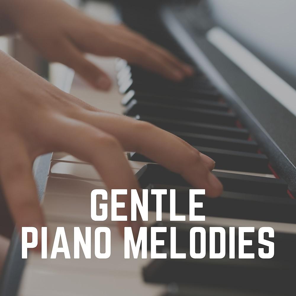 Постер альбома Gentle Piano Melodies