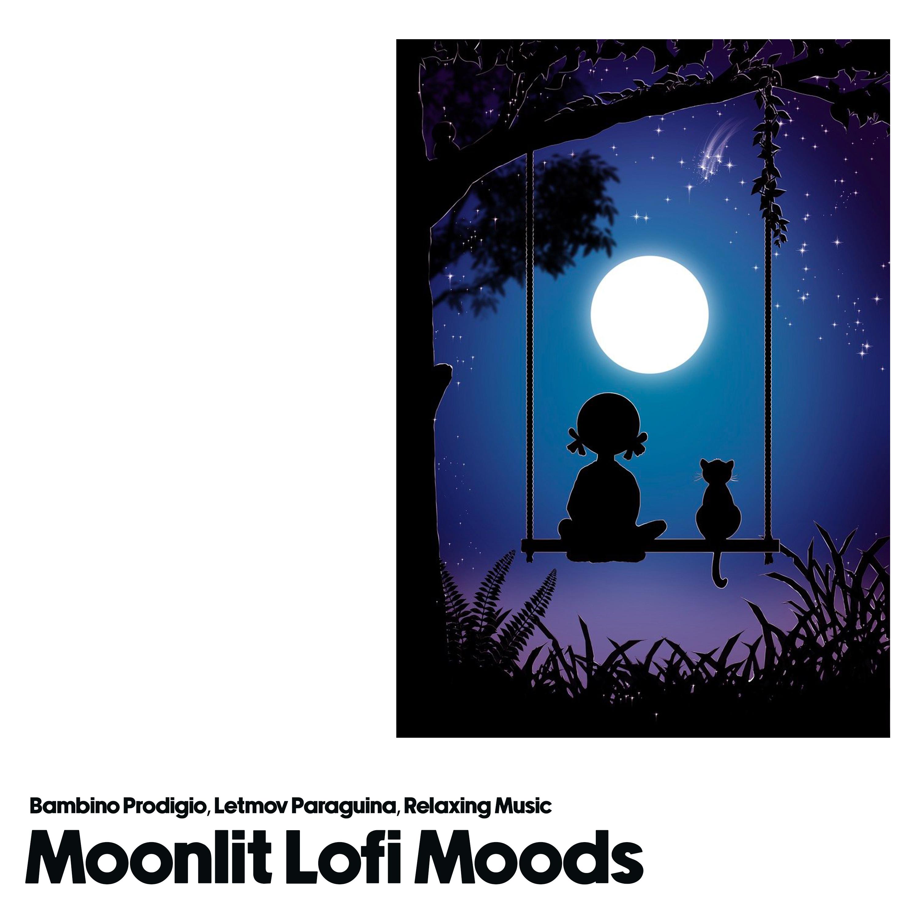 Постер альбома Moonlight LoFi Moods