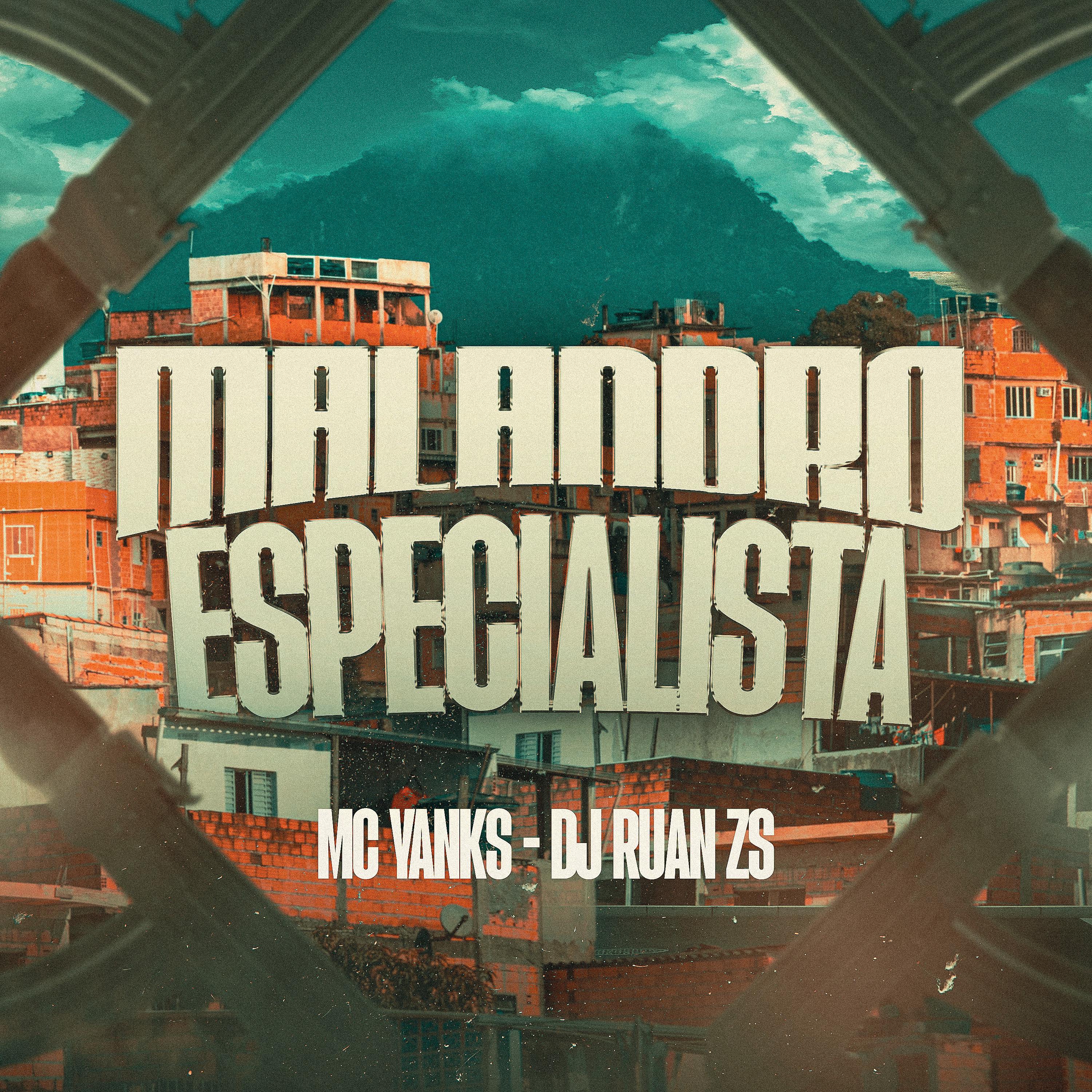 Постер альбома Malandro Especialista