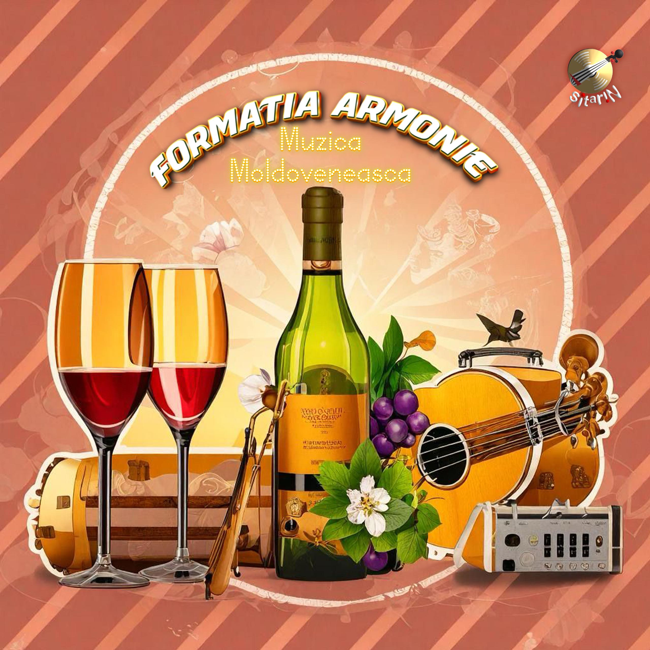 Постер альбома Formatia Armonie
