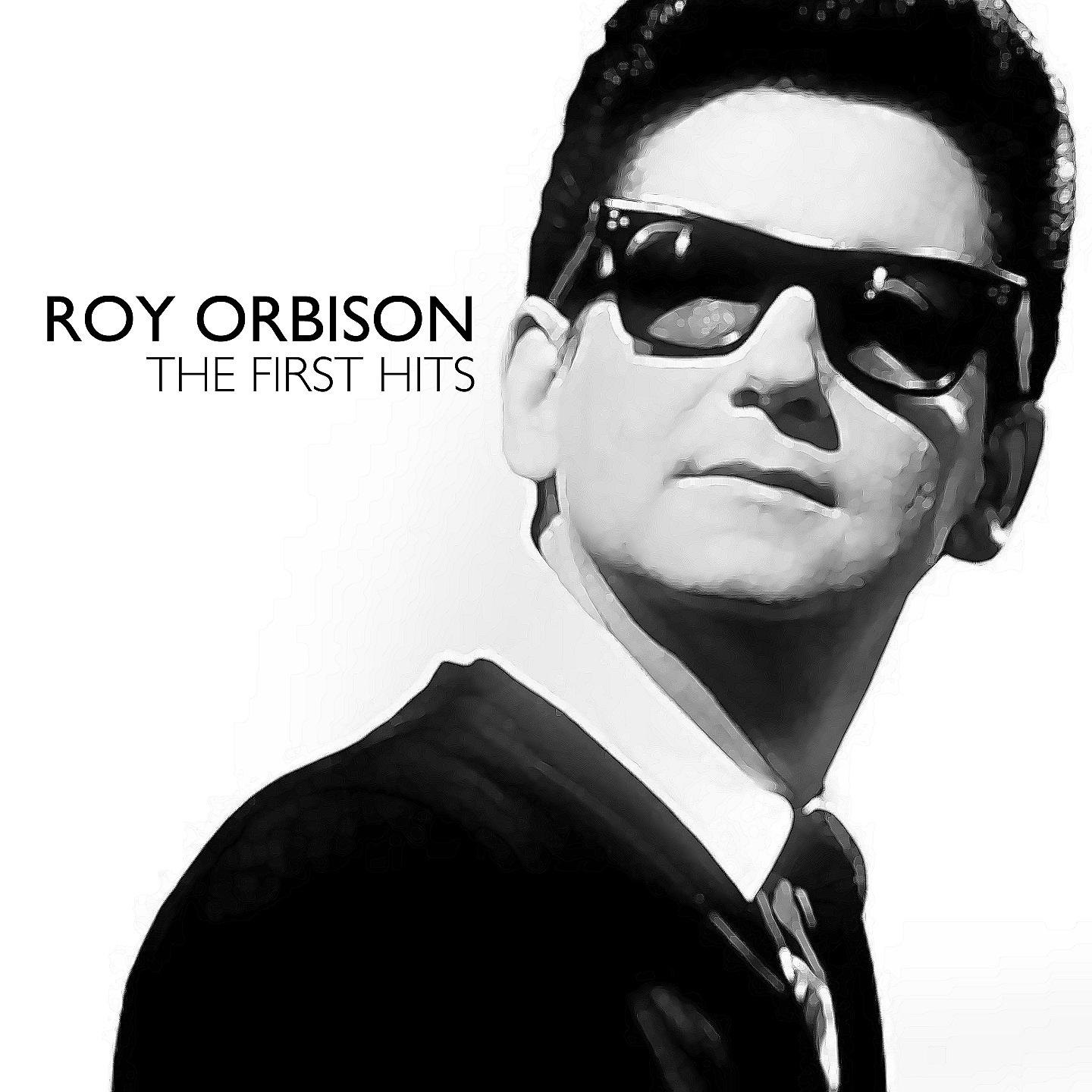 Постер альбома Roy Orbison - The First Hits -