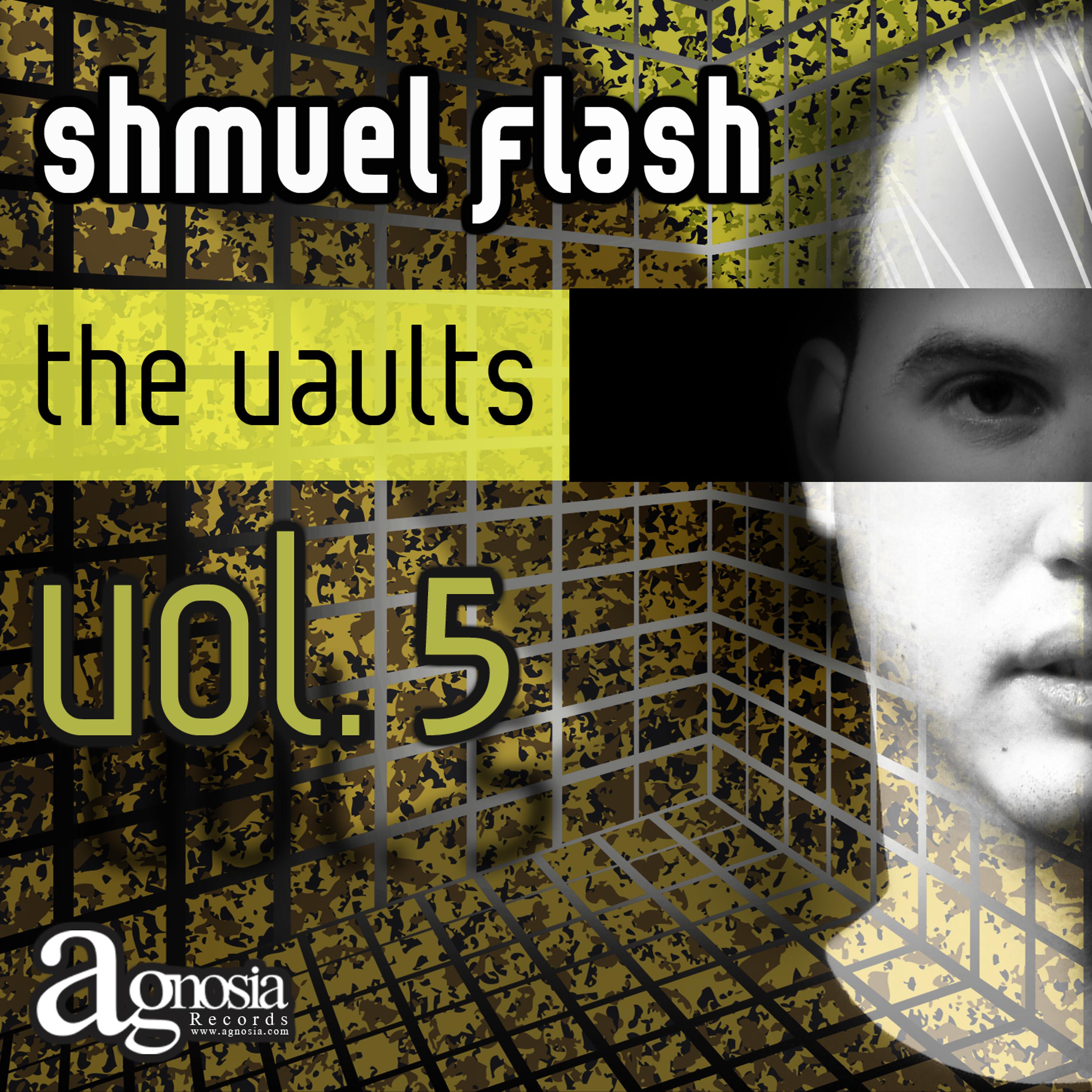 Постер альбома The Vaults Vol. 5
