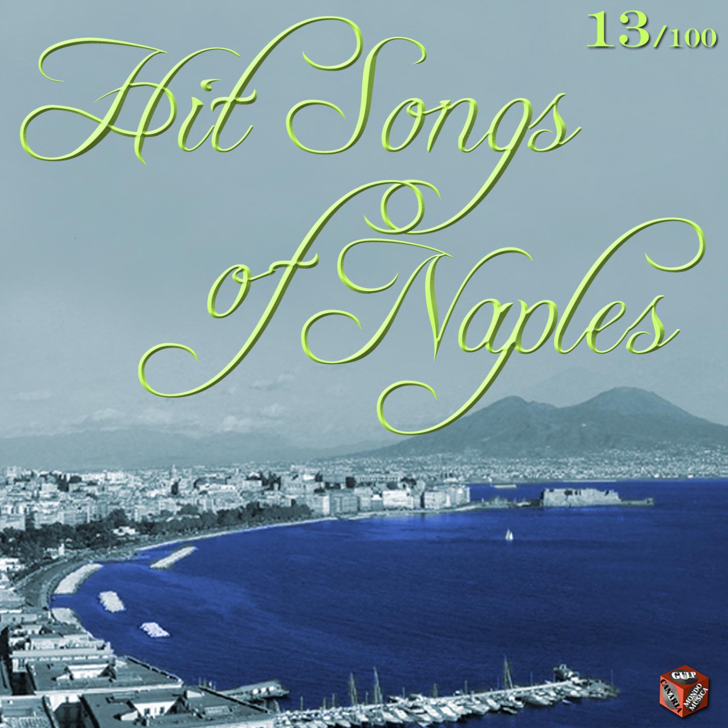 Постер альбома Hit Songs of Naples, Vol. 13