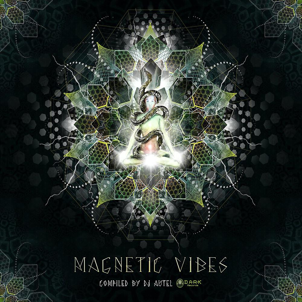 Постер альбома Magnetic Vibes