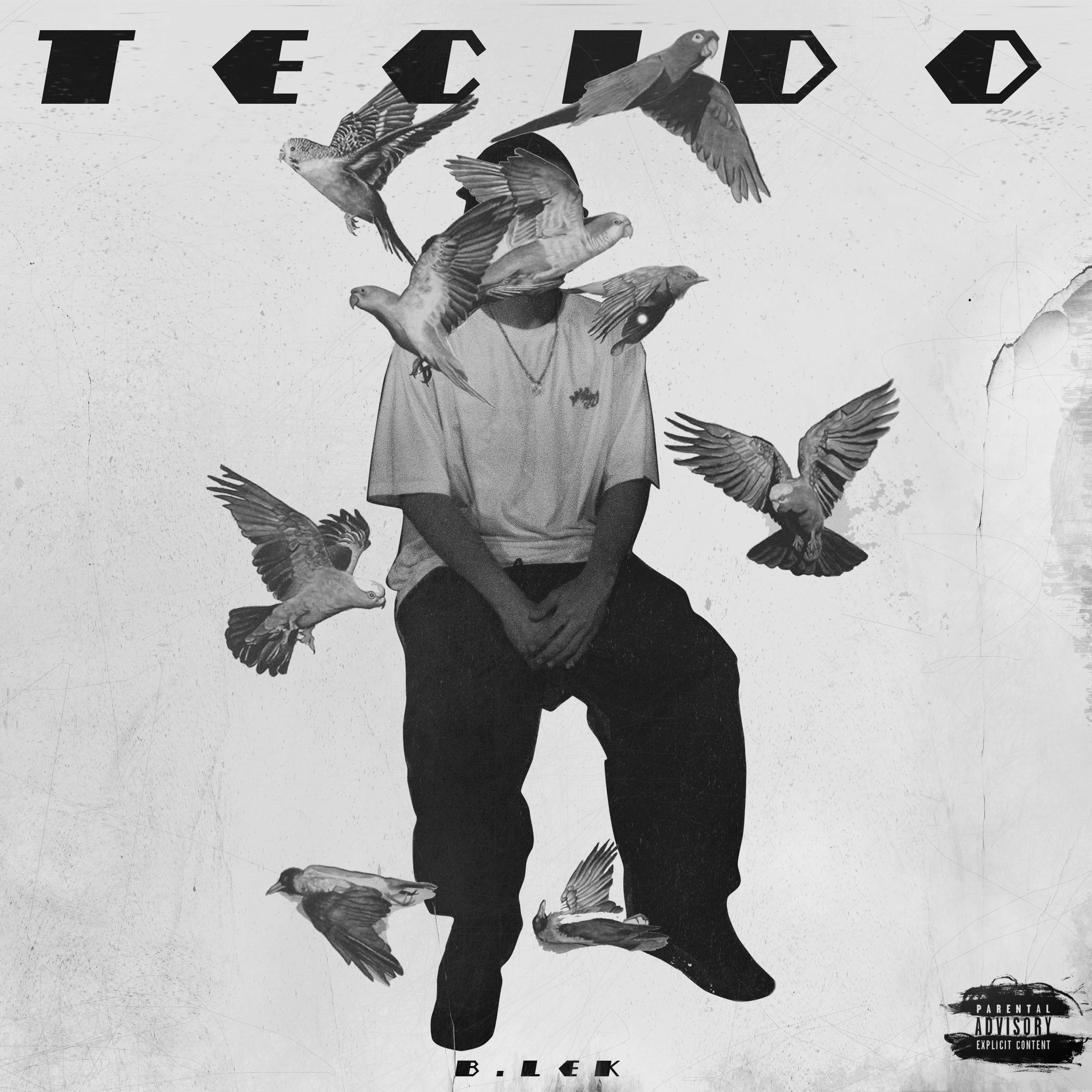 Постер альбома Tecido