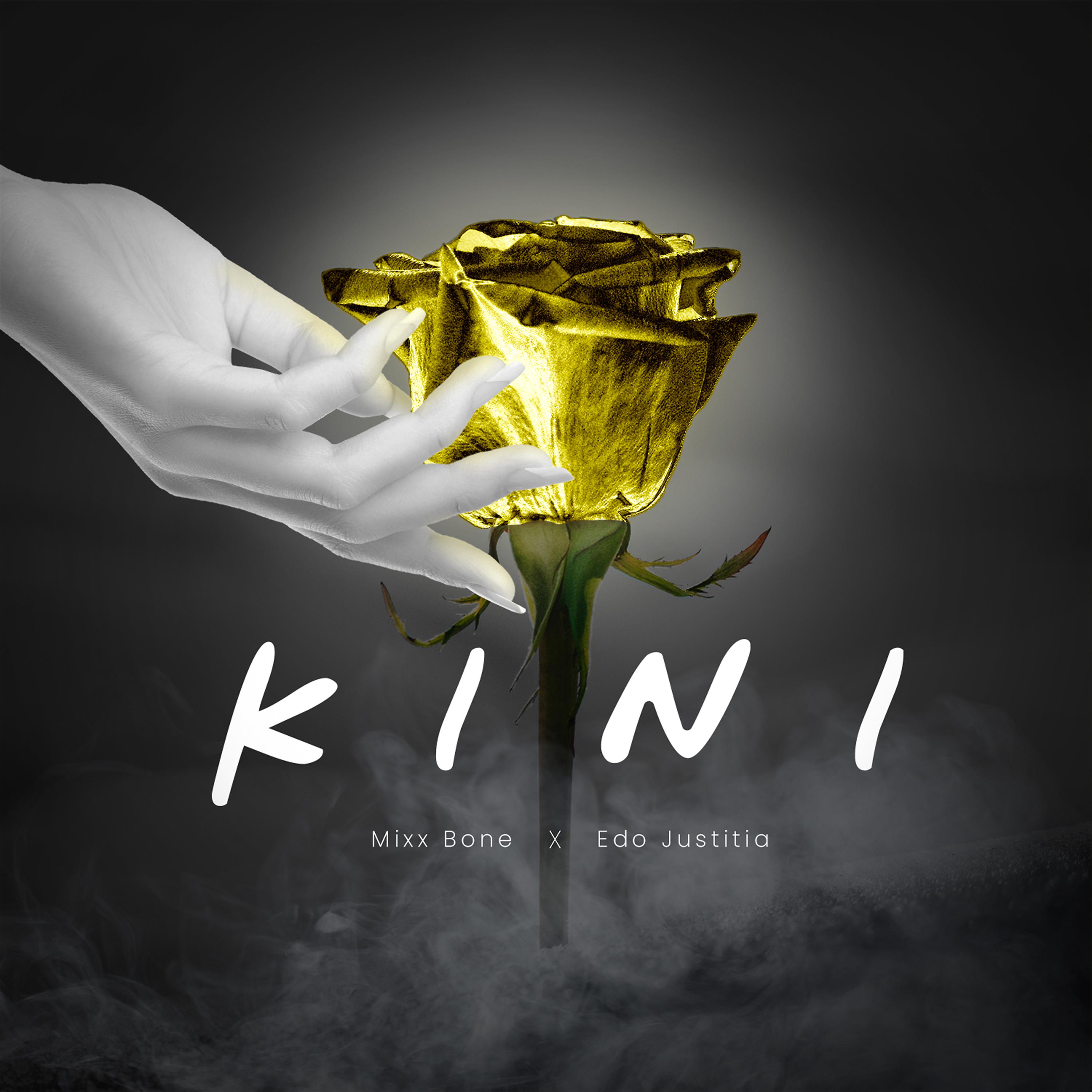 Постер альбома Kini
