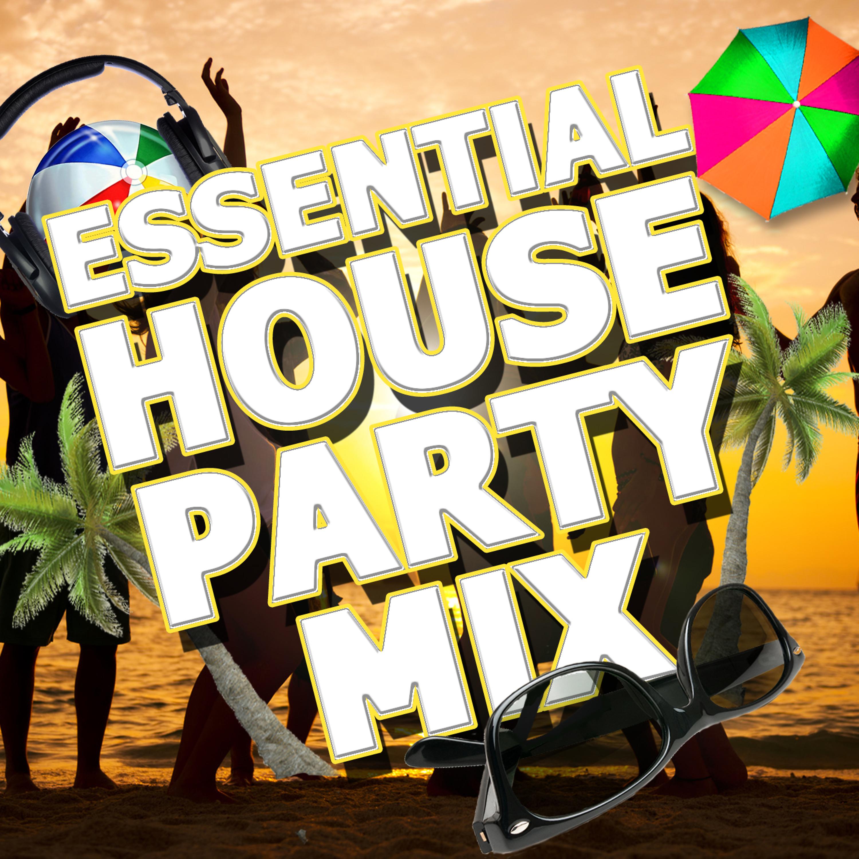 Постер альбома Essential House Party Mix
