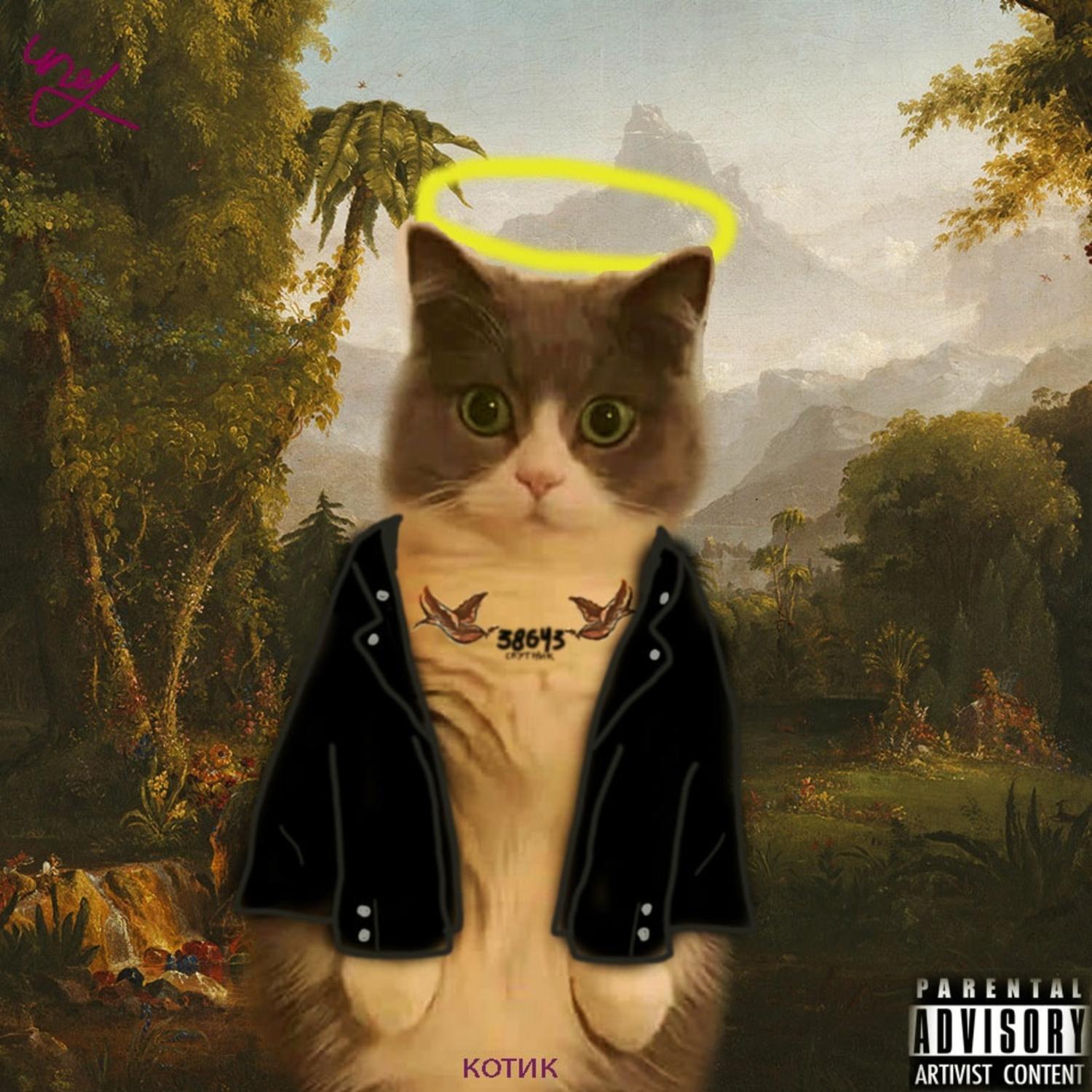 Постер альбома котик