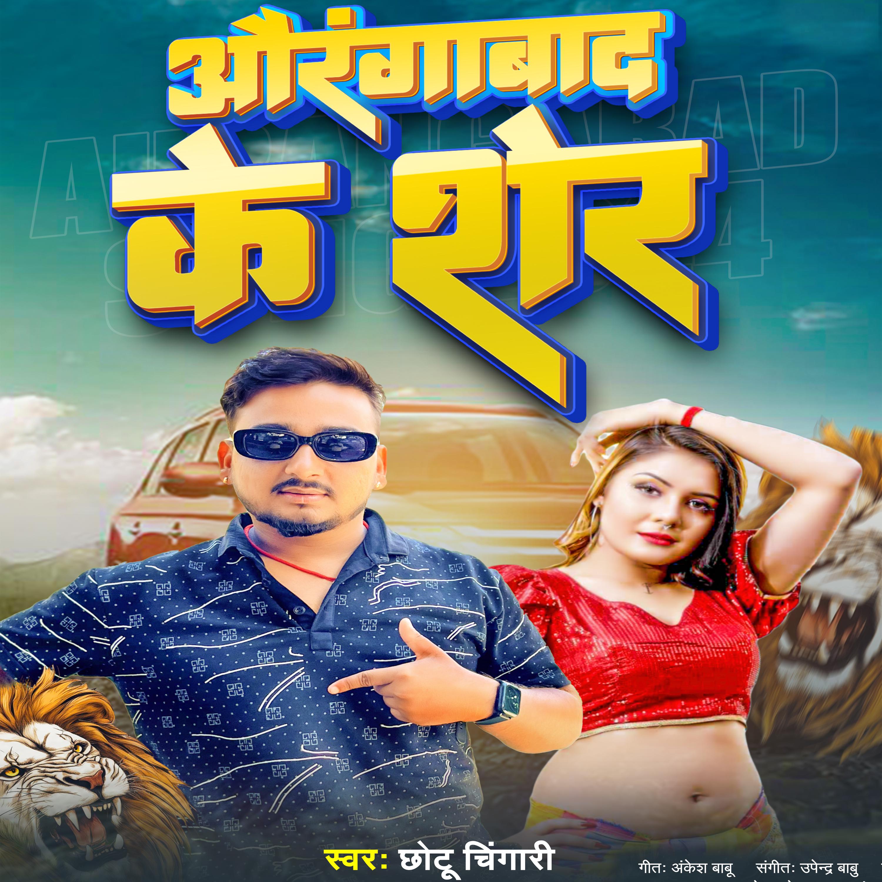 Постер альбома Aurangabad Ke Sher