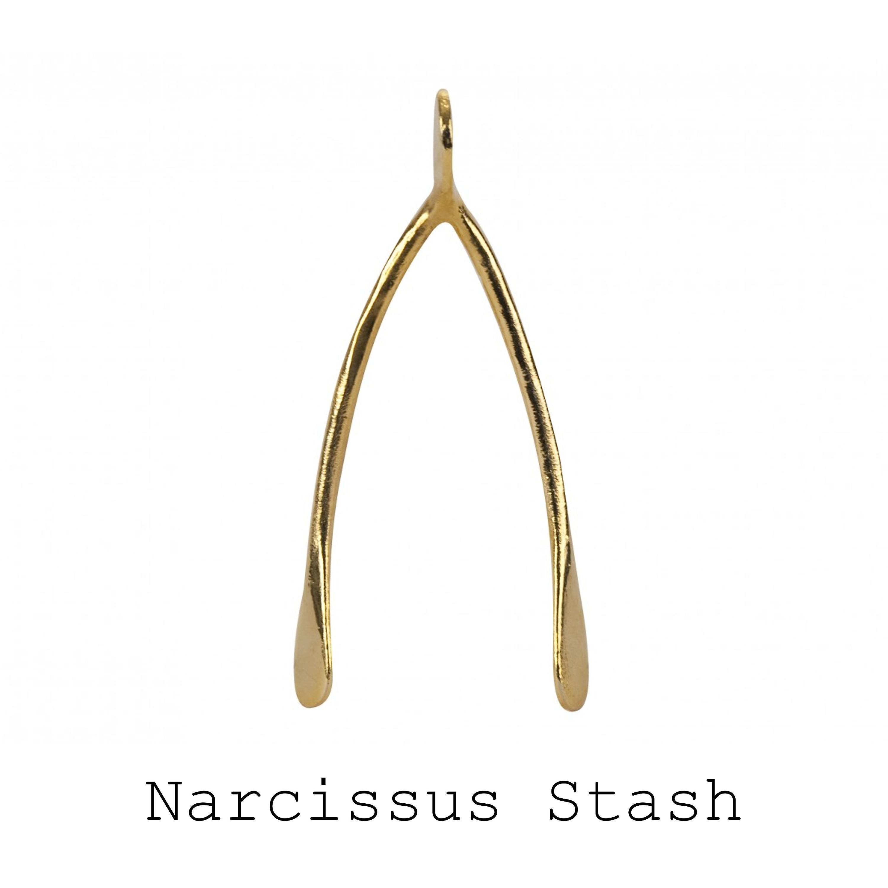 Постер альбома Narcissus Stash