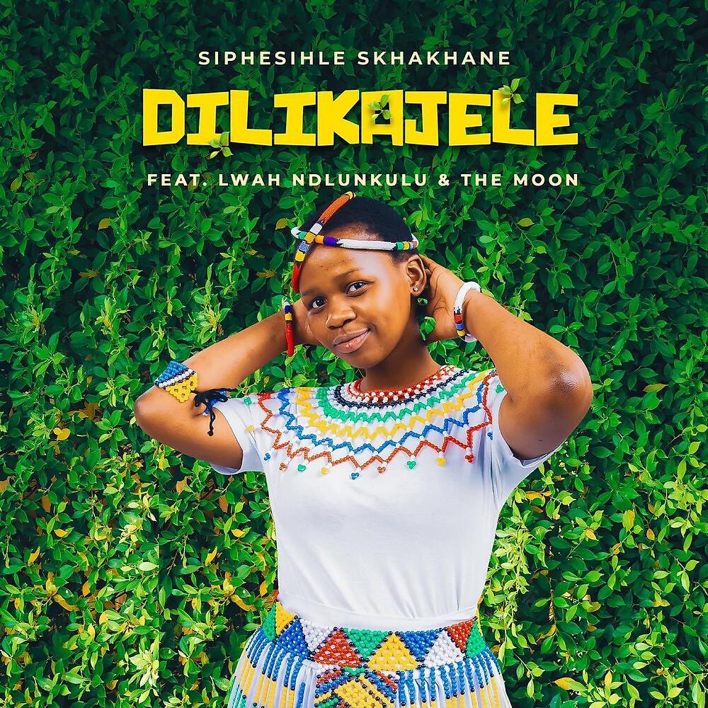 Постер альбома Dilikajele