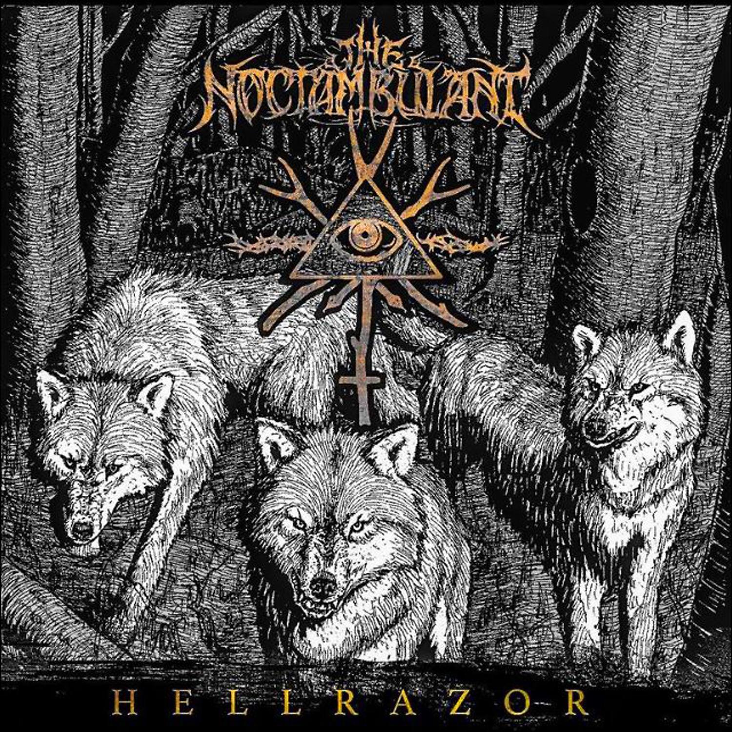 Постер альбома Hellrazor