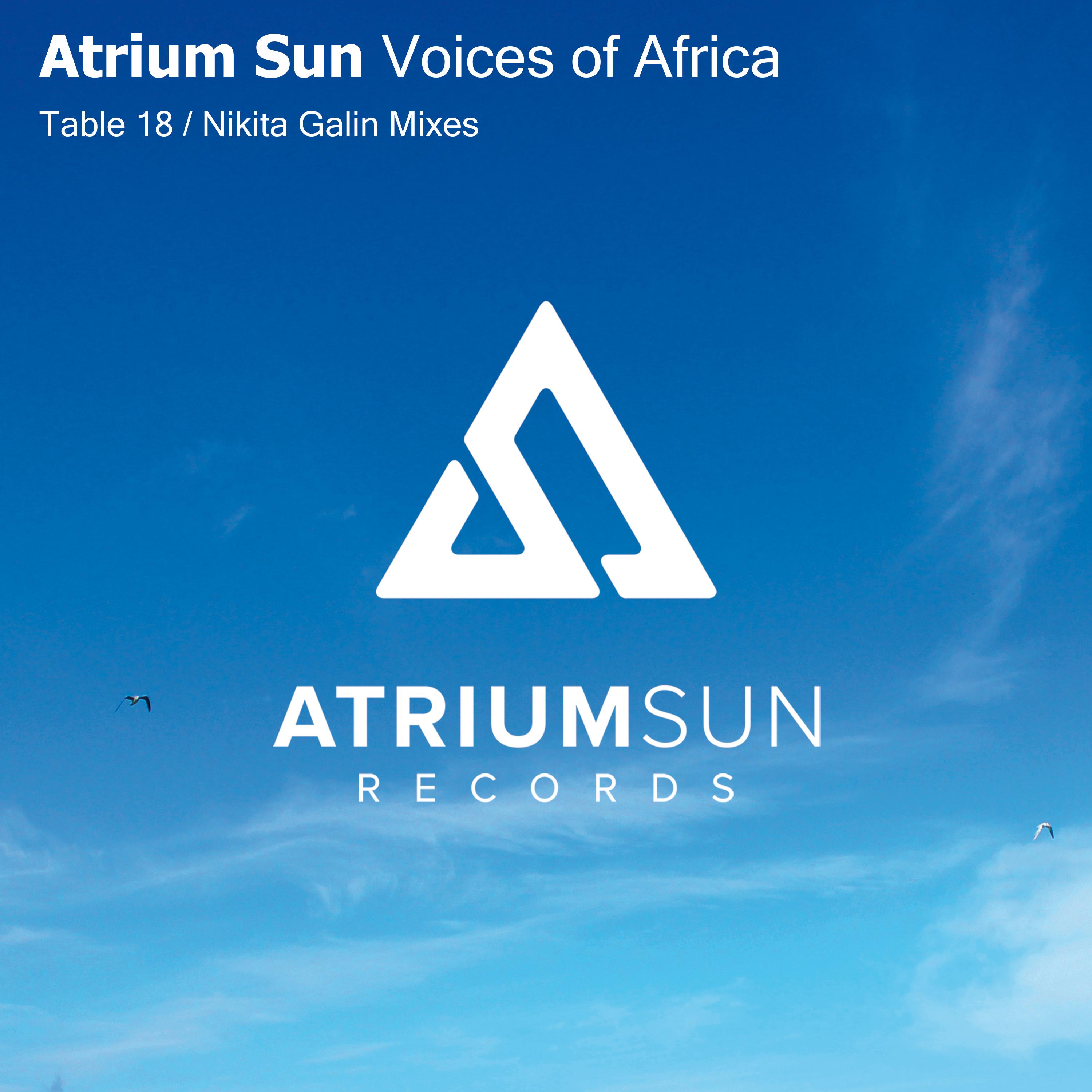 Постер альбома Voices of Africa