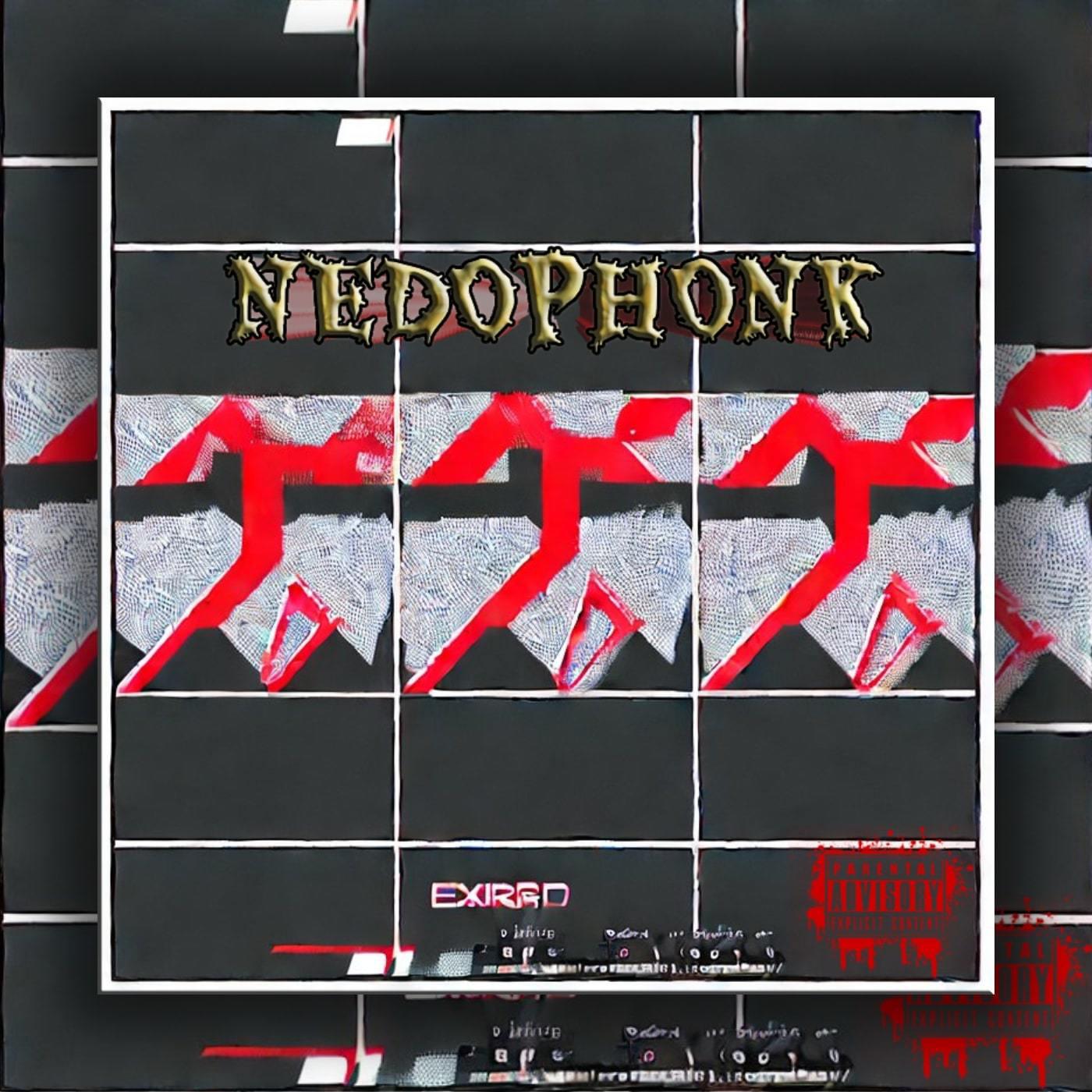 Постер альбома Nedophonk