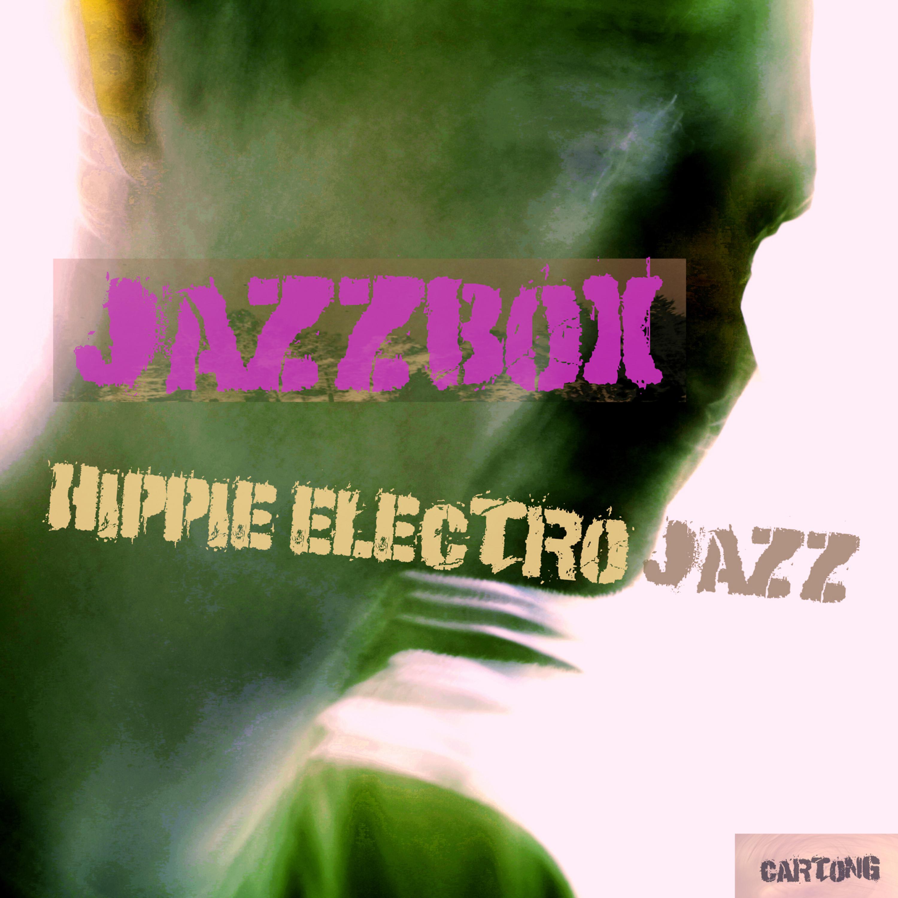 Постер альбома Hippie Electro Jazz EP
