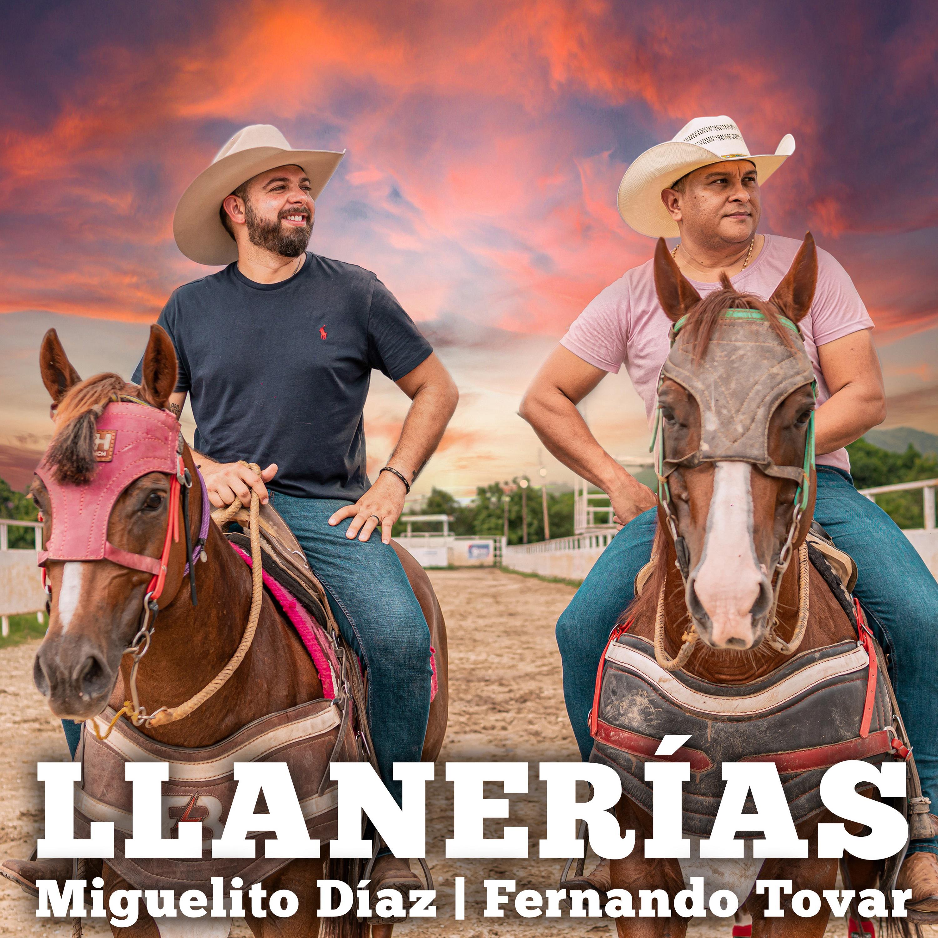 Постер альбома Llanerías