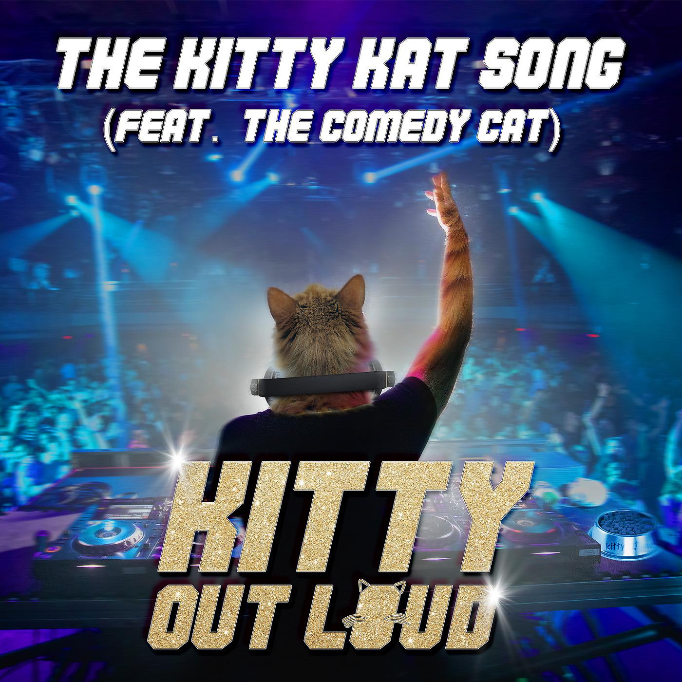 Постер альбома The Kitty Kat Song