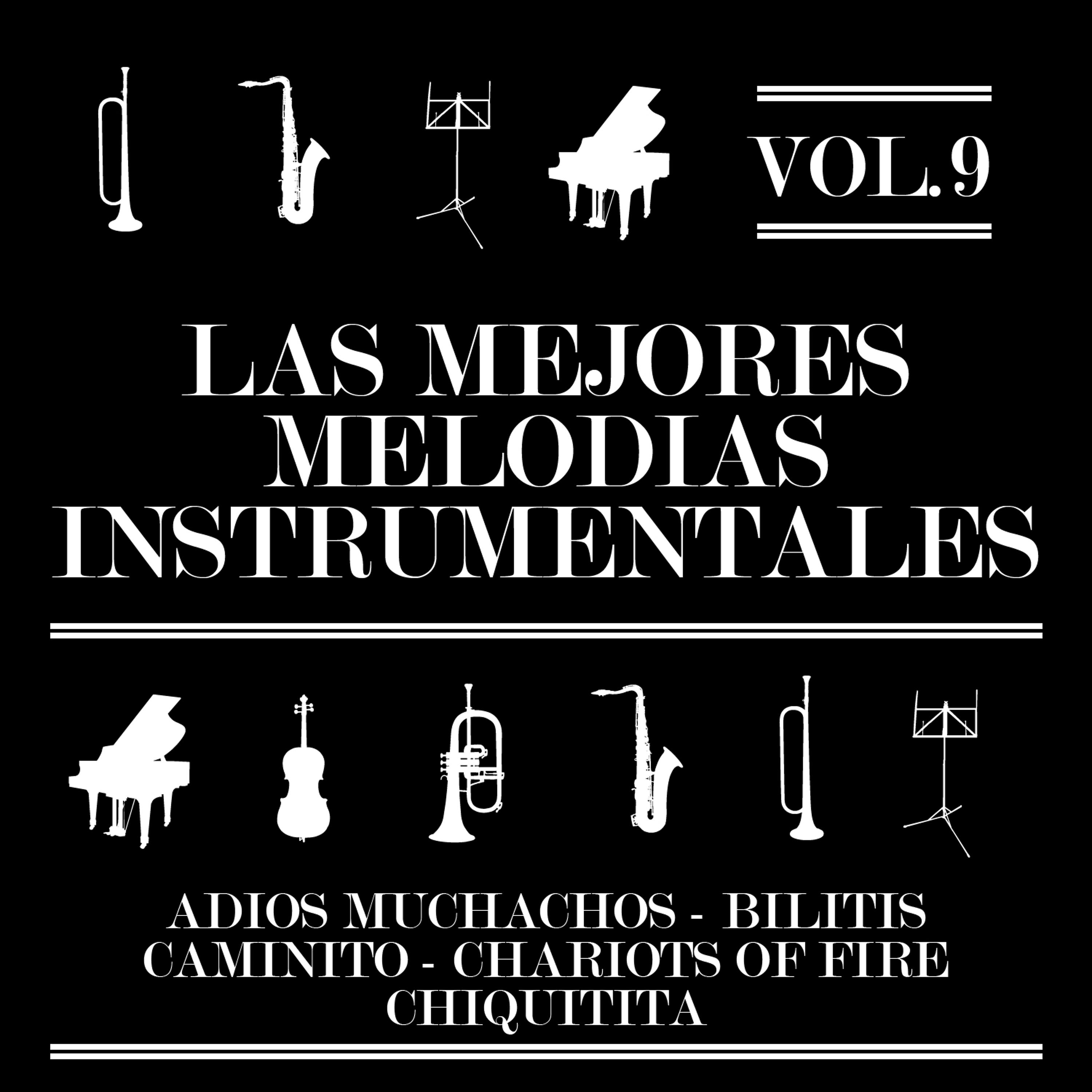 Постер альбома Las Mejores Melodías Instrumentales  Vol. 9