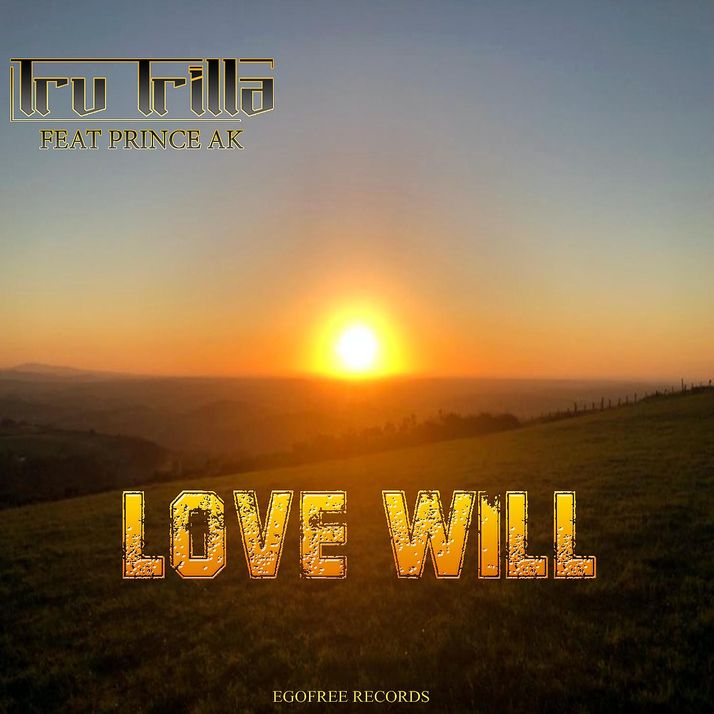 Постер альбома Love Will