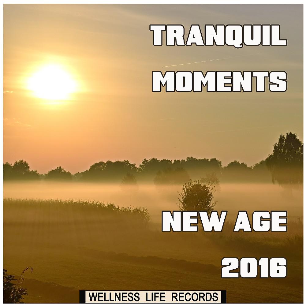 Постер альбома Tranquil Moments: New Age 2016