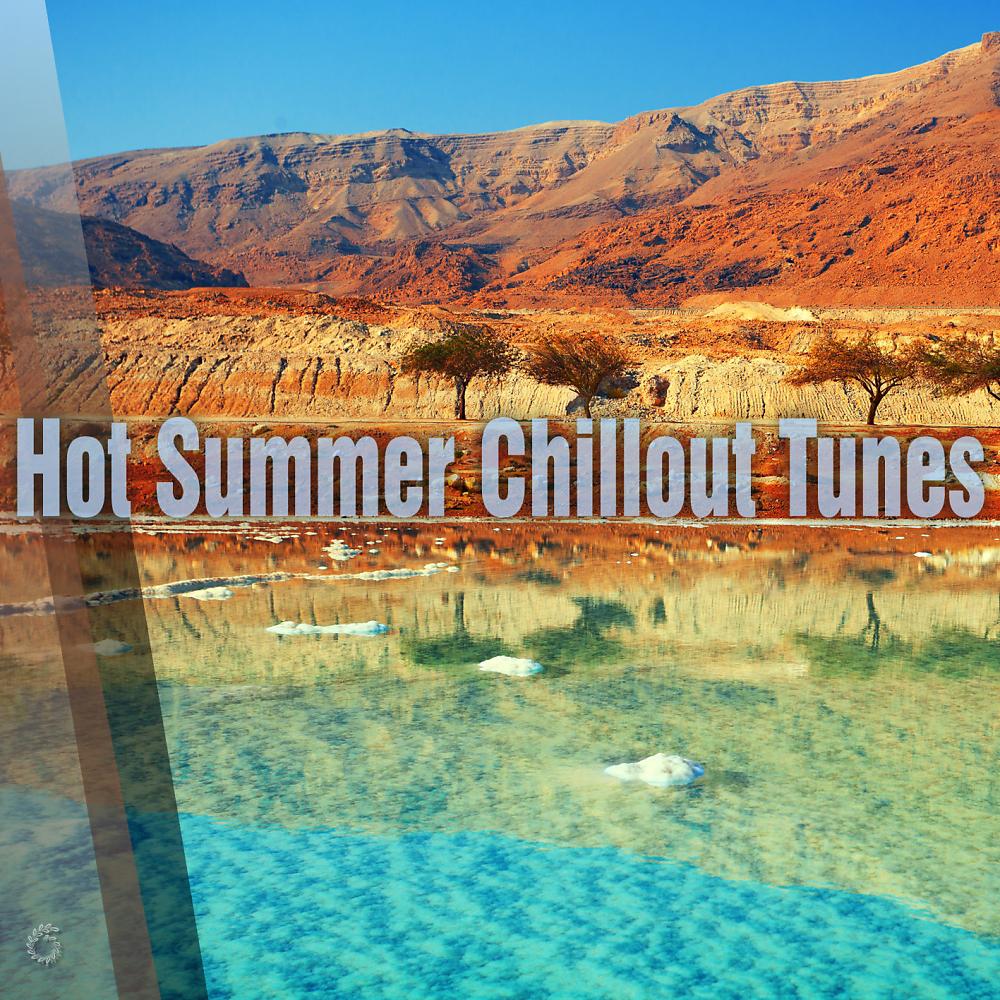 Постер альбома Hot Summer Chillout Tunes
