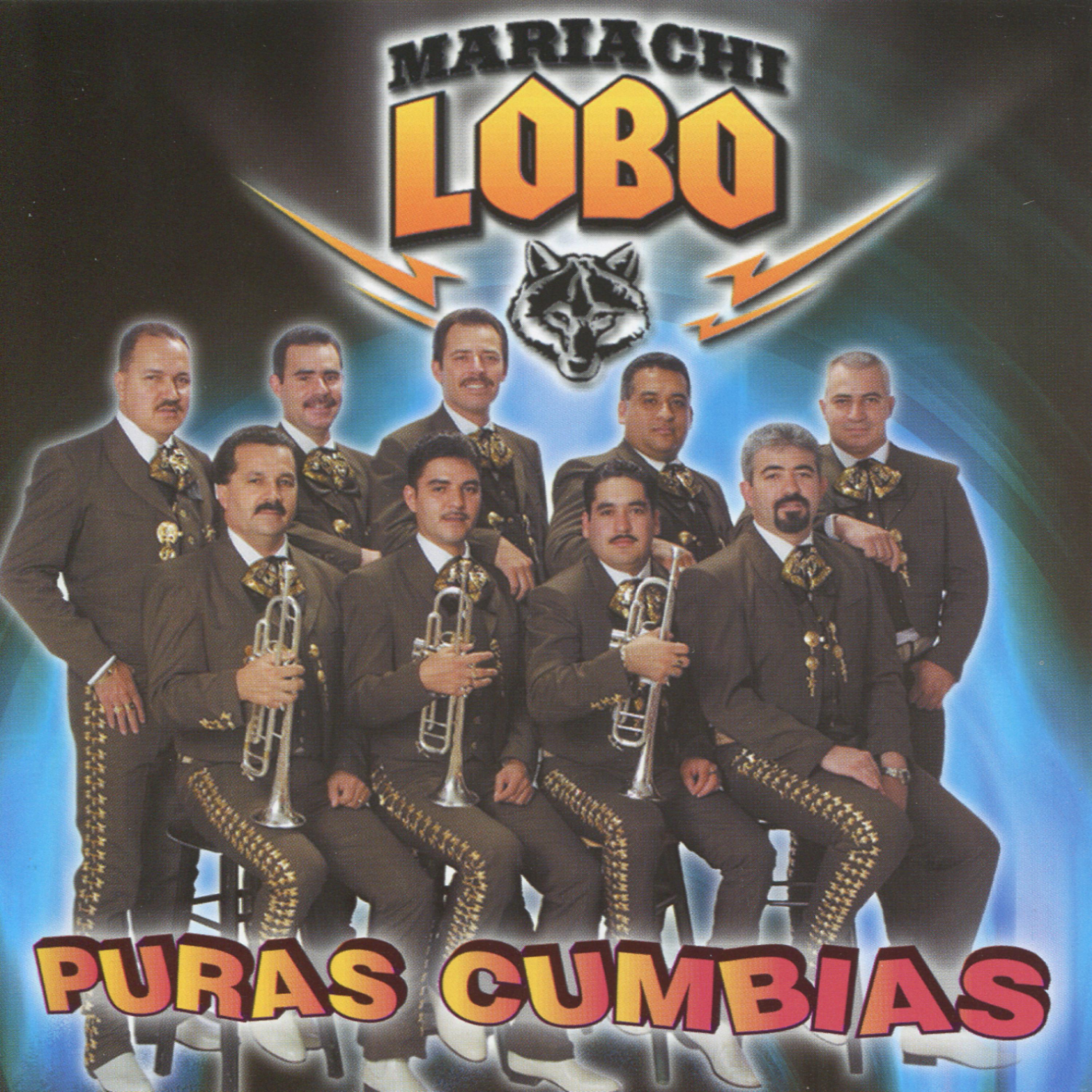 Постер альбома Puras Cumbias