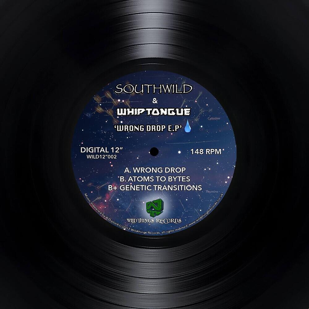 Southwild - Atoms to Bytes