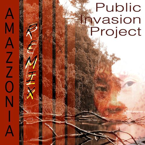Постер альбома Amazzonia Remix